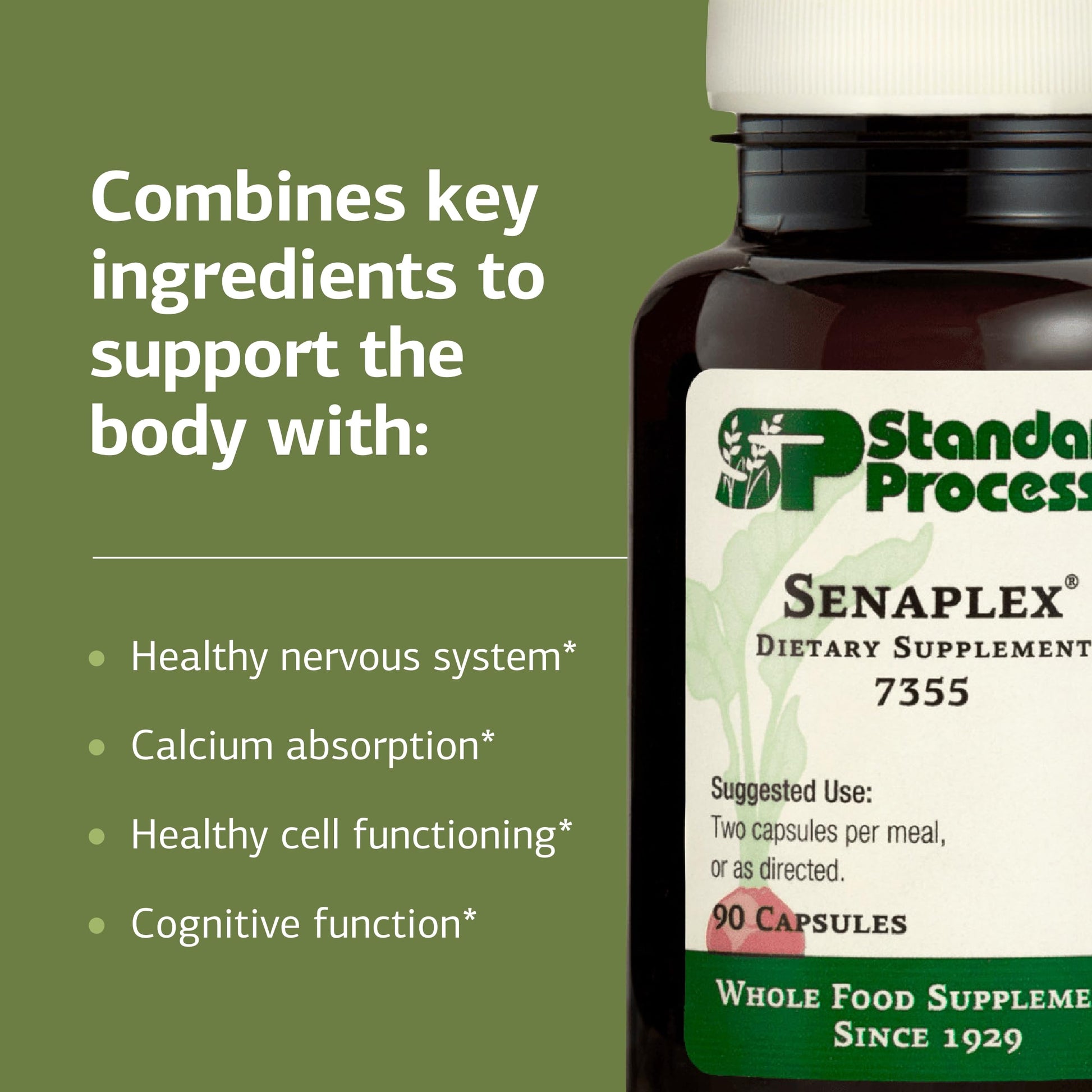 Standard Process Senaplex - Nervous System Support with Niacin, Vitamin B12 & B6 - Supports Brain Health & Cellular Health - Offers Antioxidant Activity - Non-Dairy - 90 Capsules (45 Servings) Standard Process Inc. uk supplements
