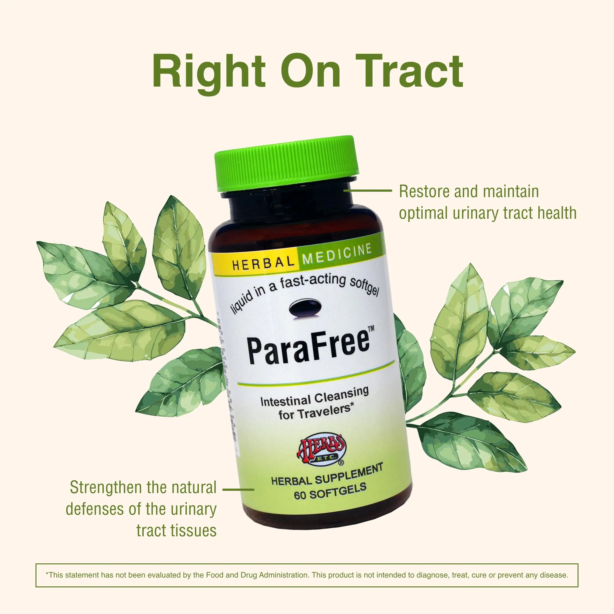 Herbs Etc. CranBladder ReLeaf Softgels - Bladder Health Support - Natural Supplement Formula to Aid Urinary Health & Comfort - Optimal Urinary Support with Cranberry - 60 Softgels (60 Servings) Herbs Etc. uk supplements