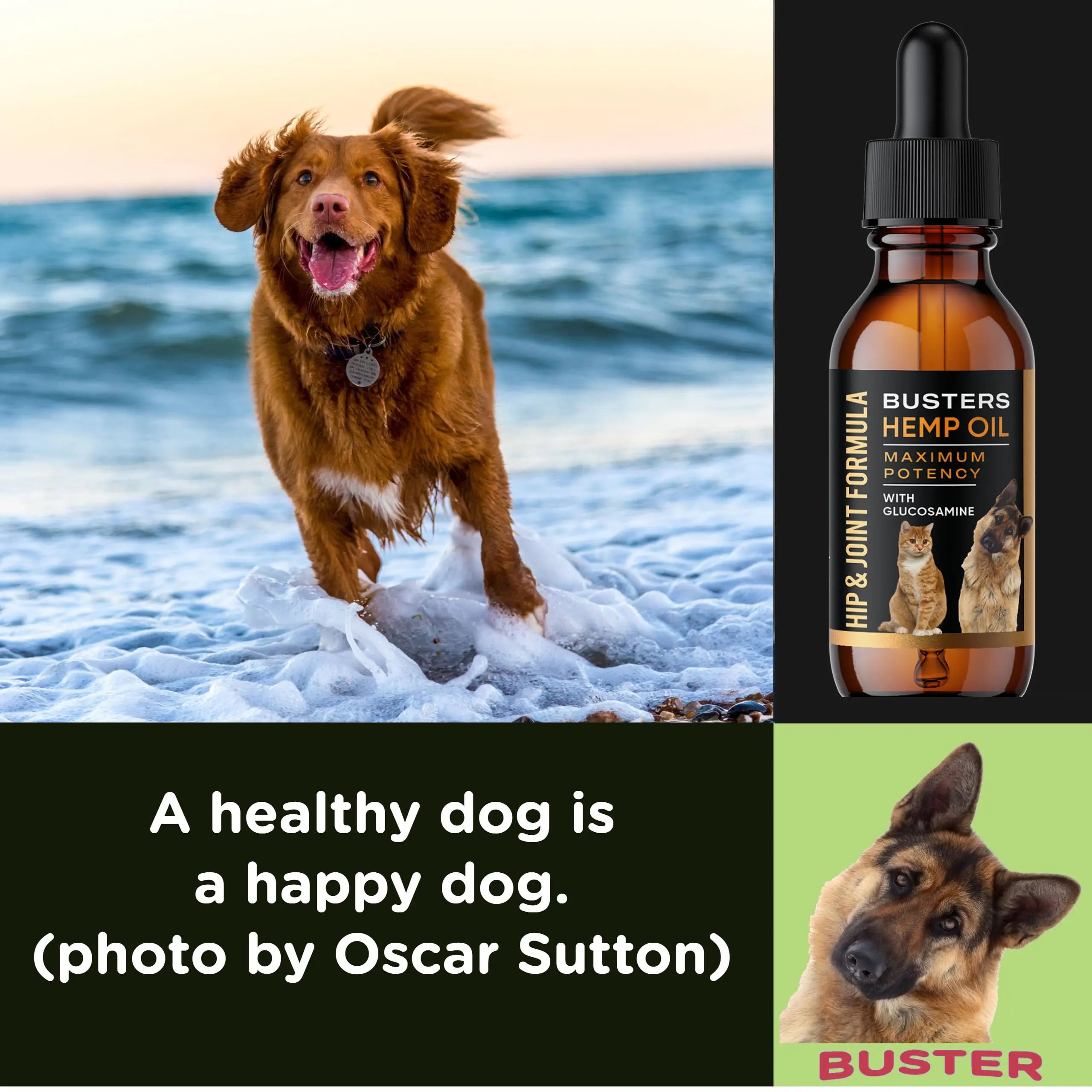 Busters Hip and Joint Hemp Oil Formula enriched with Glucosamine, Pain Relief for Dogs and Pets, Arthritis, and Advanced Mobility Support K2xLabs uk supplements
