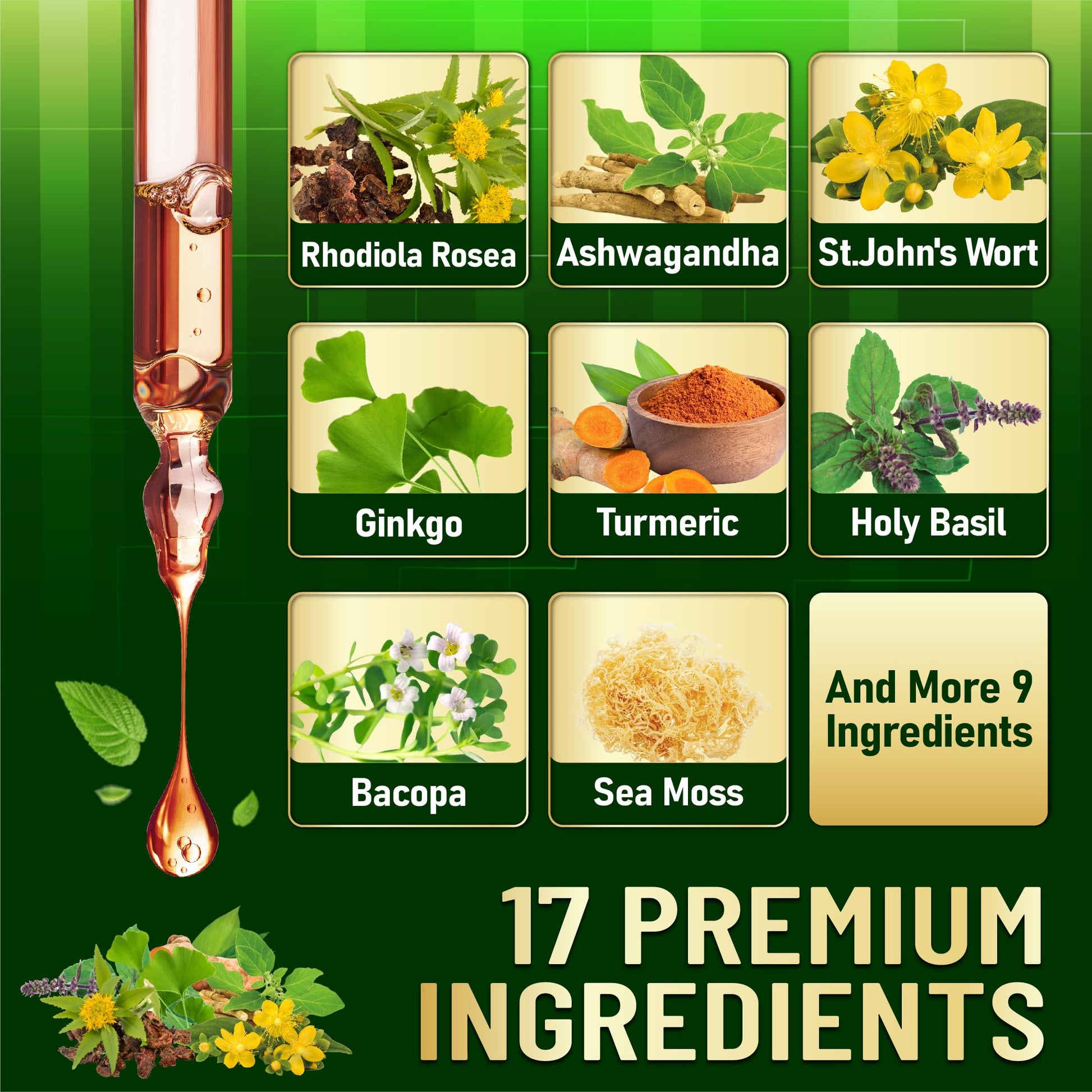 17in1 Rhodiola Rosea Liquid Supplement with Ashwagandha, Magnesium Glycine, L-Theanine, Vitamin C, Vitamin D3, Vitamin K2, Ginkgo, Turmeric, Holy Basil and More - 1 FL Oz - 60 Day Supply WELBUDA uk supplements