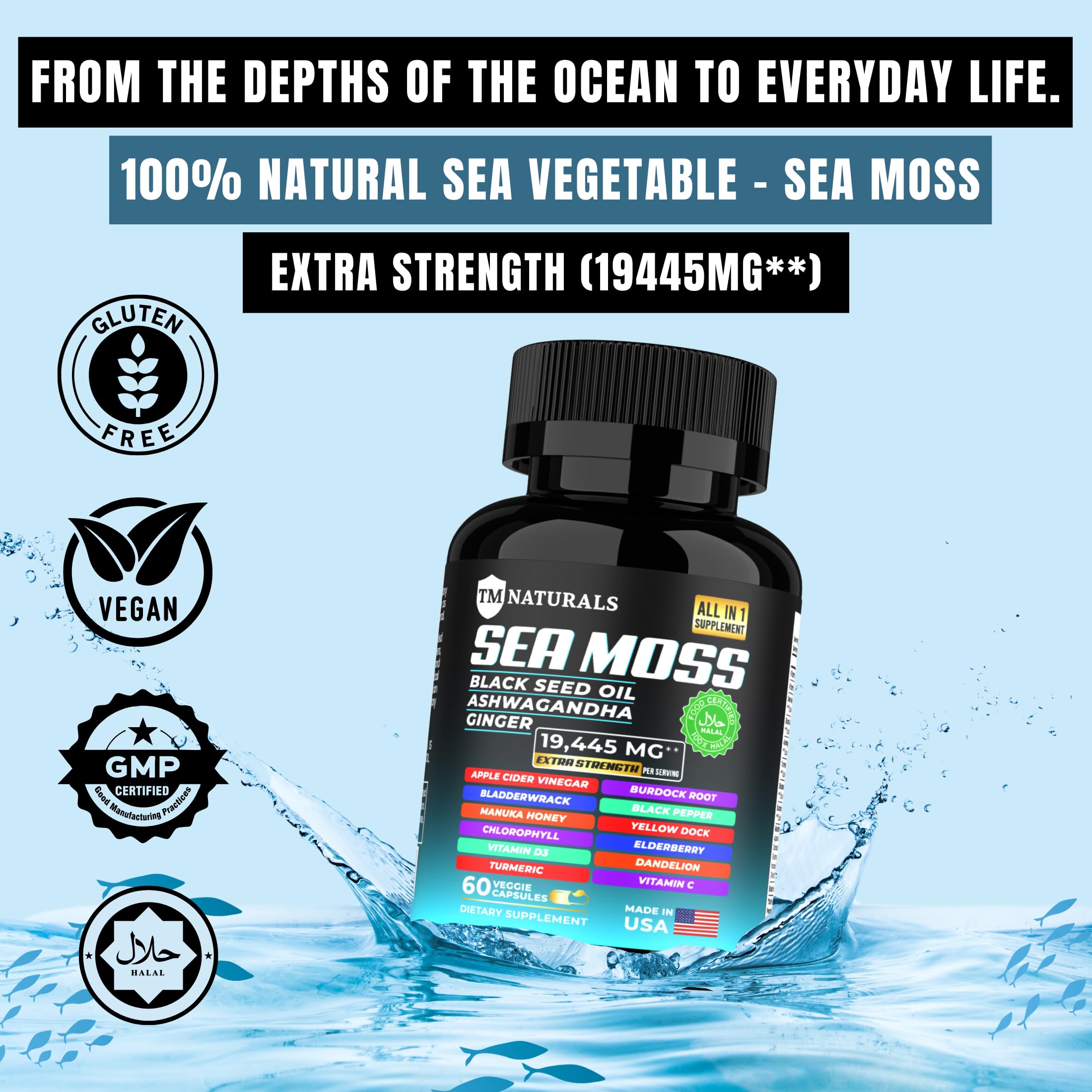 TM NATURALS Sea Moss with Black Seed Oil, Vitamin C, Ashwagandha and Turmeric for Immune Support & Energy - 60 Vegan Capsules + Free Pill Box TM NATURALS uk supplements