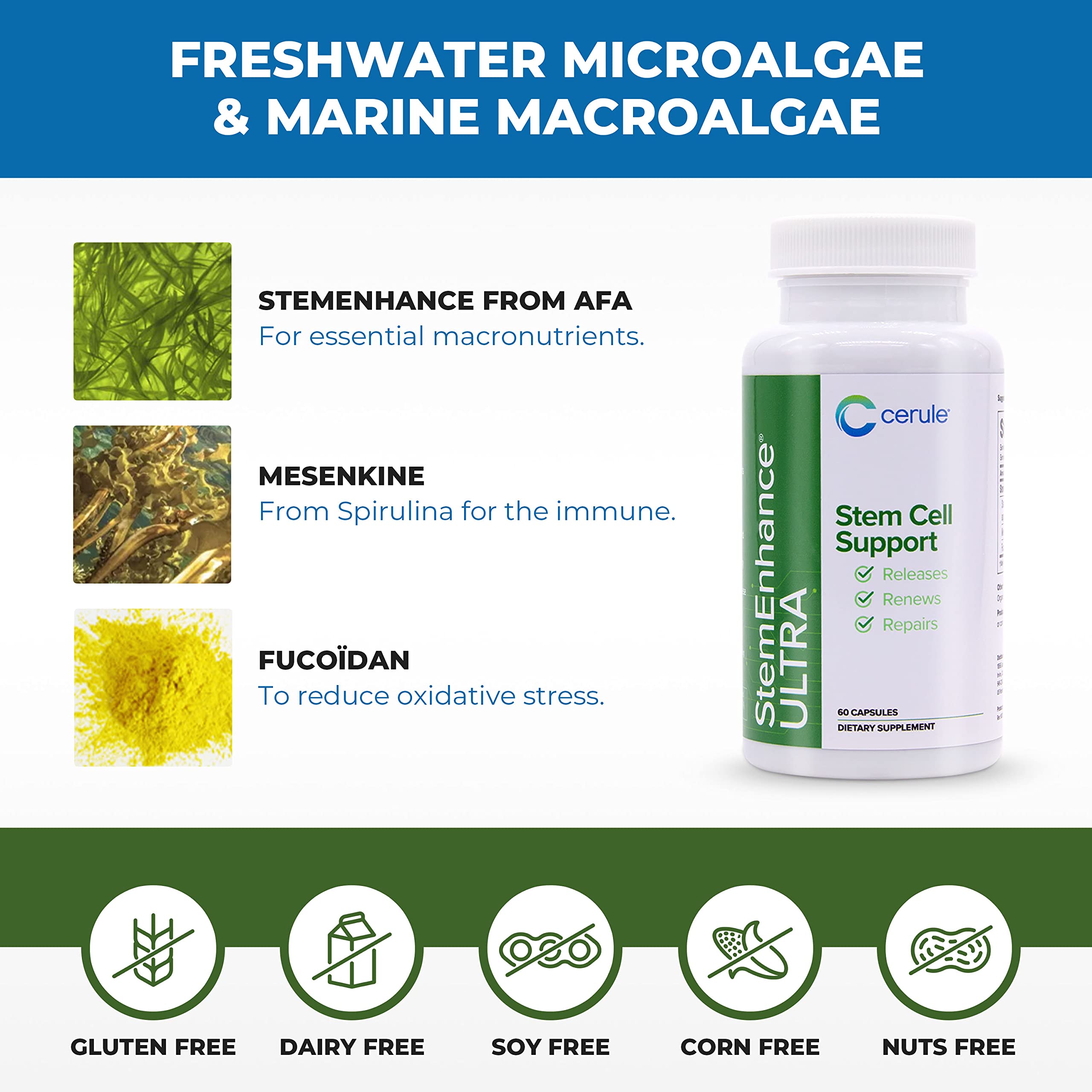 Cerule StemEnhance Ultra Natural Stem Cell Support Supplement – Freshwater Microalgae and Marine Macroalgae Extracts for Cellular Renewal, Immune Function, Energy, and Tissue Recovery – 60 Capsules Cerule uk supplements