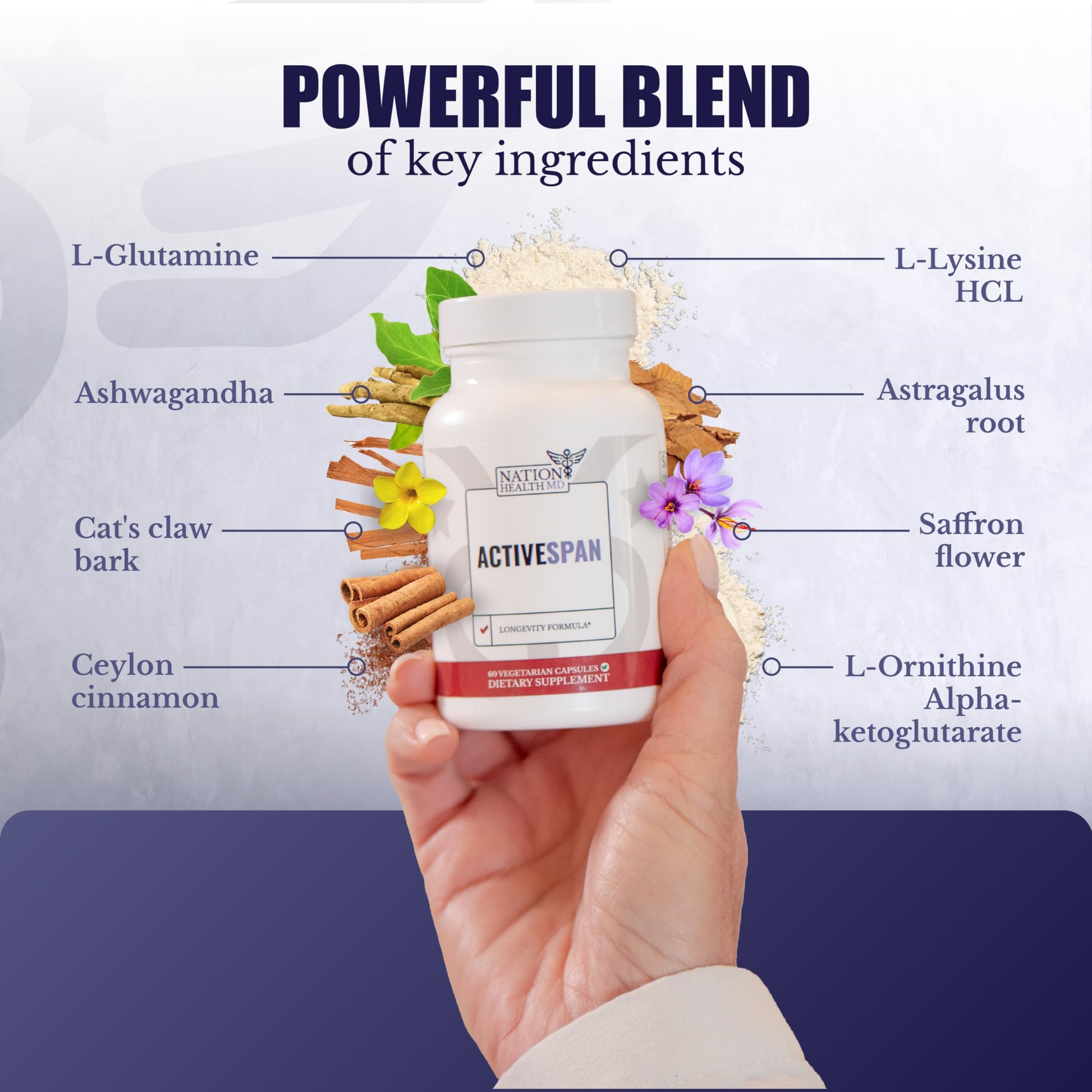 NATION HEALTH MD ActiveSpan - Longevity Supplement for Anti Aging - with Ashwagandha Extract, Astragalus, Cat's Claw, Ceylon Cinnamon, L-Lysine, L-Glutamine & More - 60 Capsules NATION HEALTH MD uk supplements