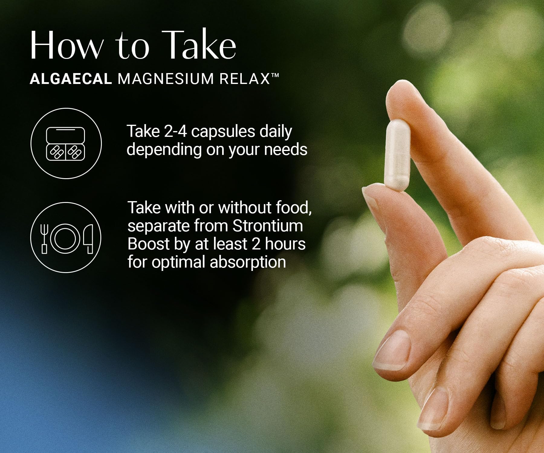 AlgaeCal Magnesium Relax™ - Chelated Magnesium with Ashwagandha for Sleep & Occasional Anxiety - Glycinate, Malate, Citrate - Sleep, Mood, & Cortisol Support (60 Caps - 1 Month Supply) ALGAECAL uk supplements