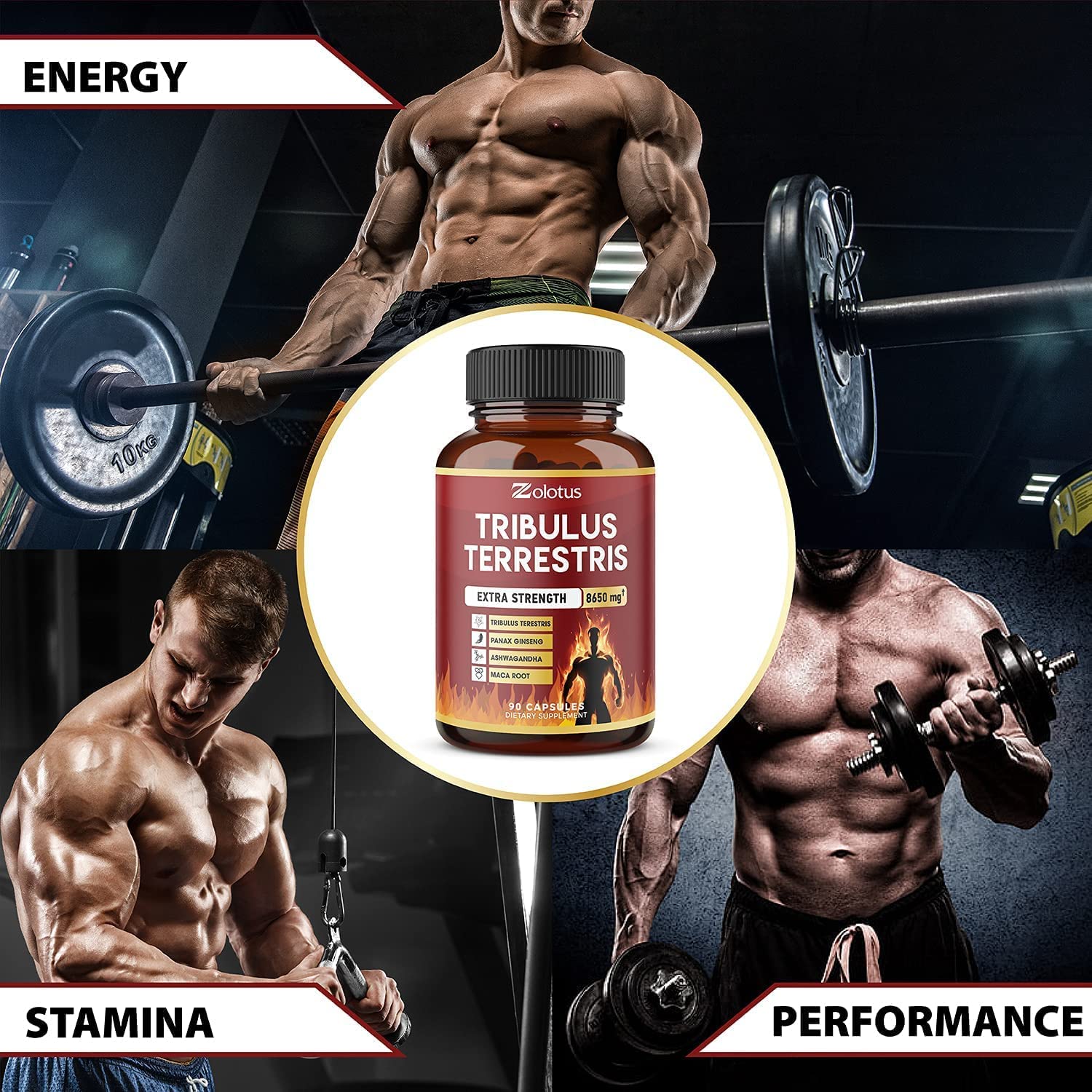 Zolotus Tribulus Terrestris, 8650mg Per Capsule, High Potency with Ashwagndha Zolotus uk supplements
