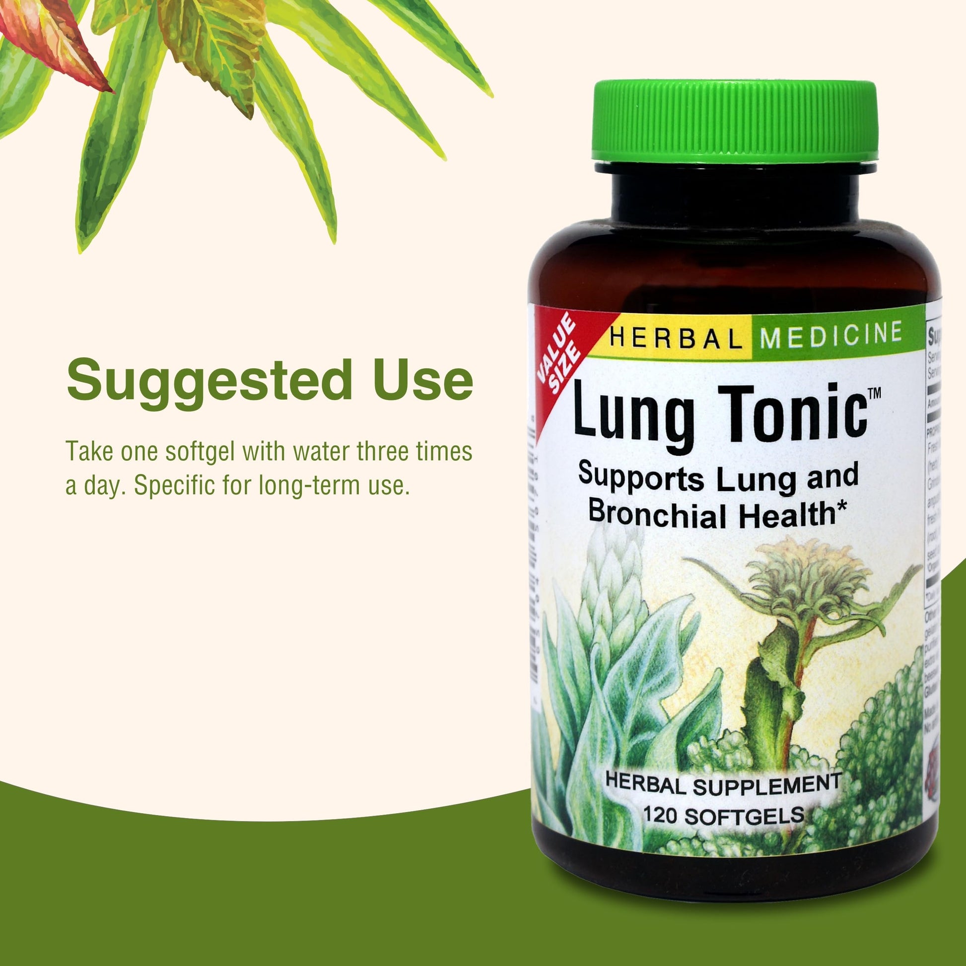 Herbs Etc. Lung Tonic - Lung Supplement for Bronchial Support - Healthy Breathing Support with Mullein, Horehound & Grindelia - 120 Softgels Herbs Etc. uk supplements