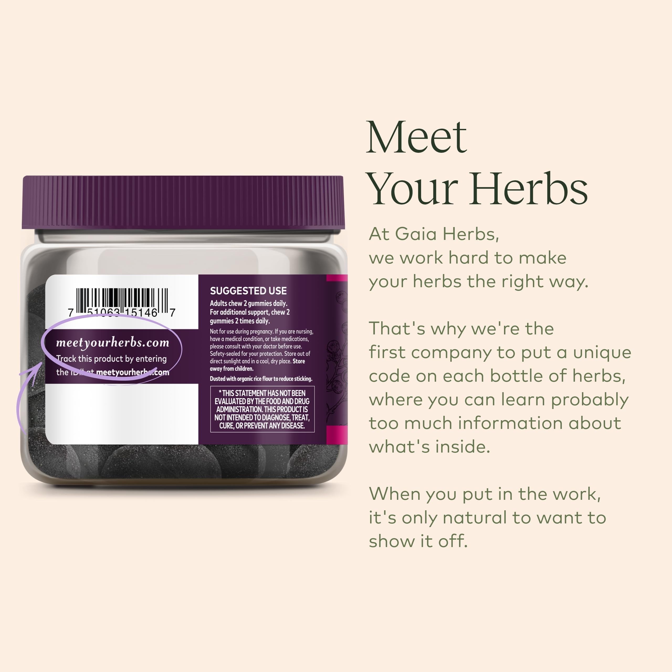 Gaia Herbs Black Elderberry (Sambucus Nigra) Extra Strength Gummies Gaia Herbs uk supplements