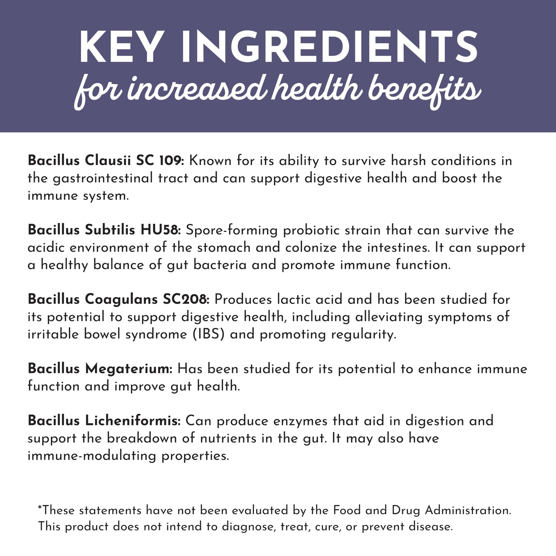 JUST INGREDIENTS Elderberry Lemonade 3-in-1 Probiotic Complex - Prebiotics, Probiotics & Postbiotics - 30 Sticks JUST INGREDIENTS uk supplements