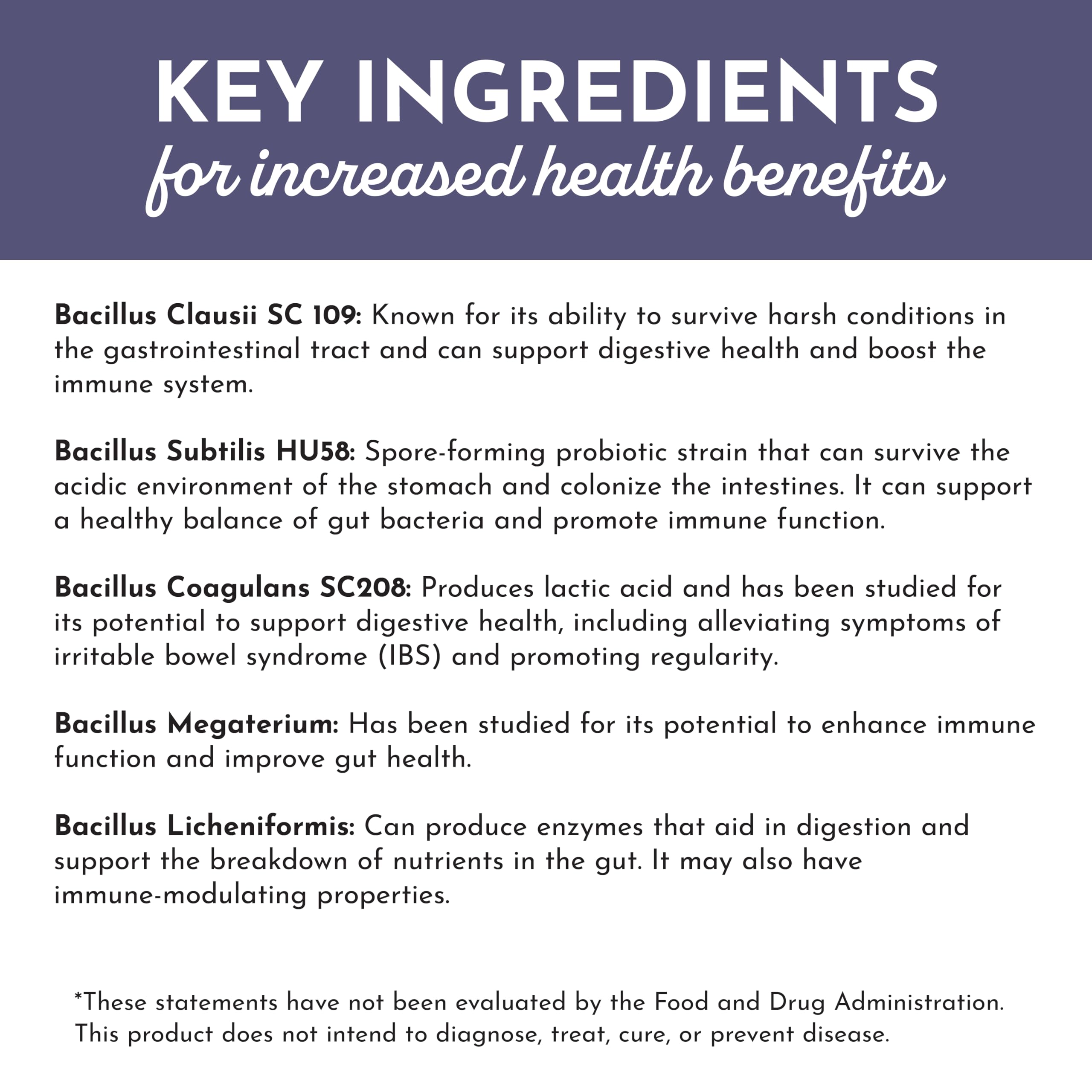 JUST INGREDIENTS Elderberry Lemonade 3-in-1 Probiotic Complex - Prebiotics, Probiotics & Postbiotics - 30 Sticks JUST INGREDIENTS uk supplements
