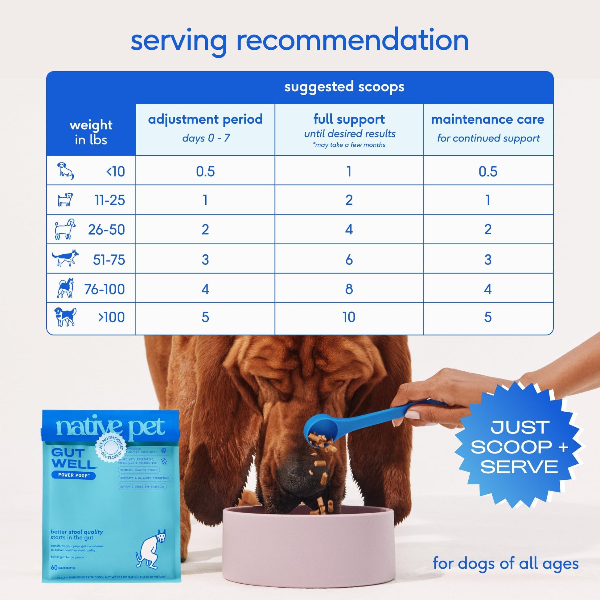 GutWell Power Poop - Digestive Enzymes & Fiber for Dogs - Dog Fiber Supplements Help with Diarrhea Relief, Upset Stomach, Pet Gas & Gut Health with Targeted Triple-Biotic Blend & M-Fiber - 60 Scoops Native Pet uk supplements