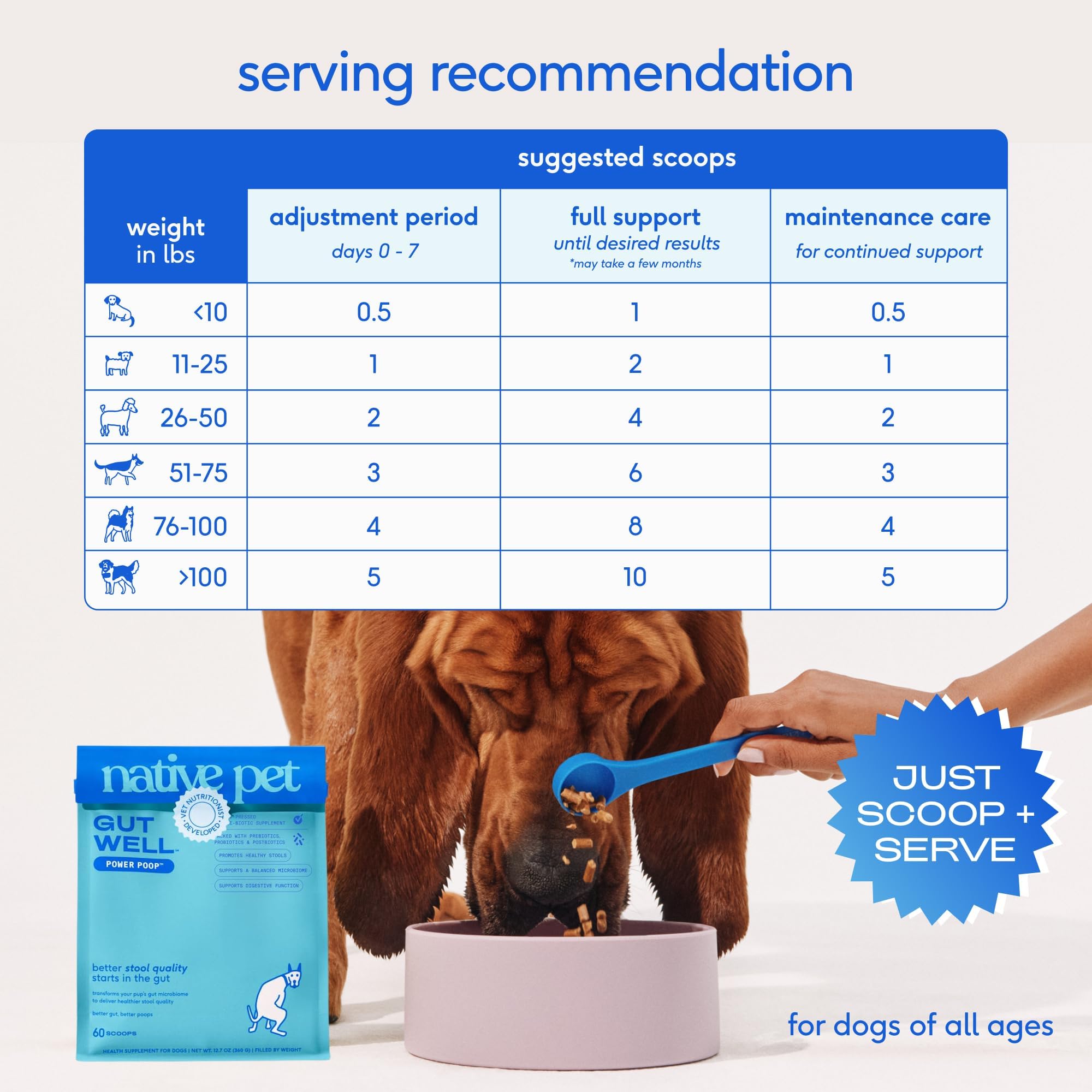 GutWell Power Poop - Digestive Enzymes & Fiber for Dogs - Dog Fiber Supplements Help with Diarrhea Relief, Upset Stomach, Pet Gas & Gut Health with Targeted Triple-Biotic Blend & M-Fiber - 60 Scoops Native Pet uk supplements