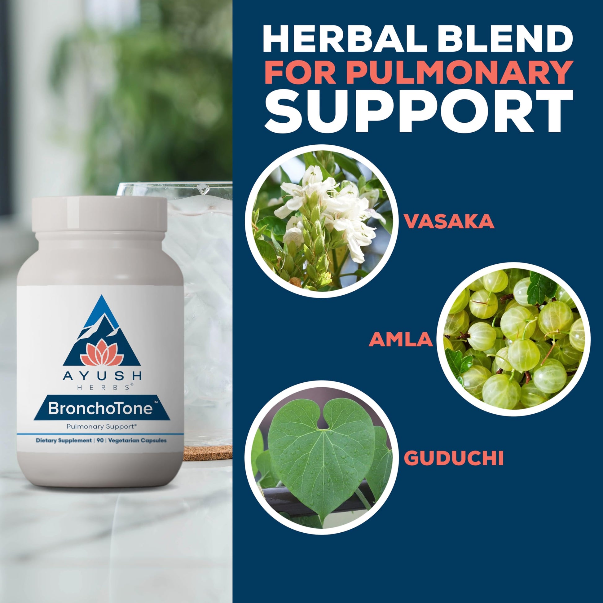 Ayush Herbs Bronchotone - Bronchial Support, Respiratory and Immune-Support Support Supplement for Women & Men, Adults, Pulmonary Care Supplement - 90 Vegetarian Capsules (1 Count) Ayush Herbs uk supplements
