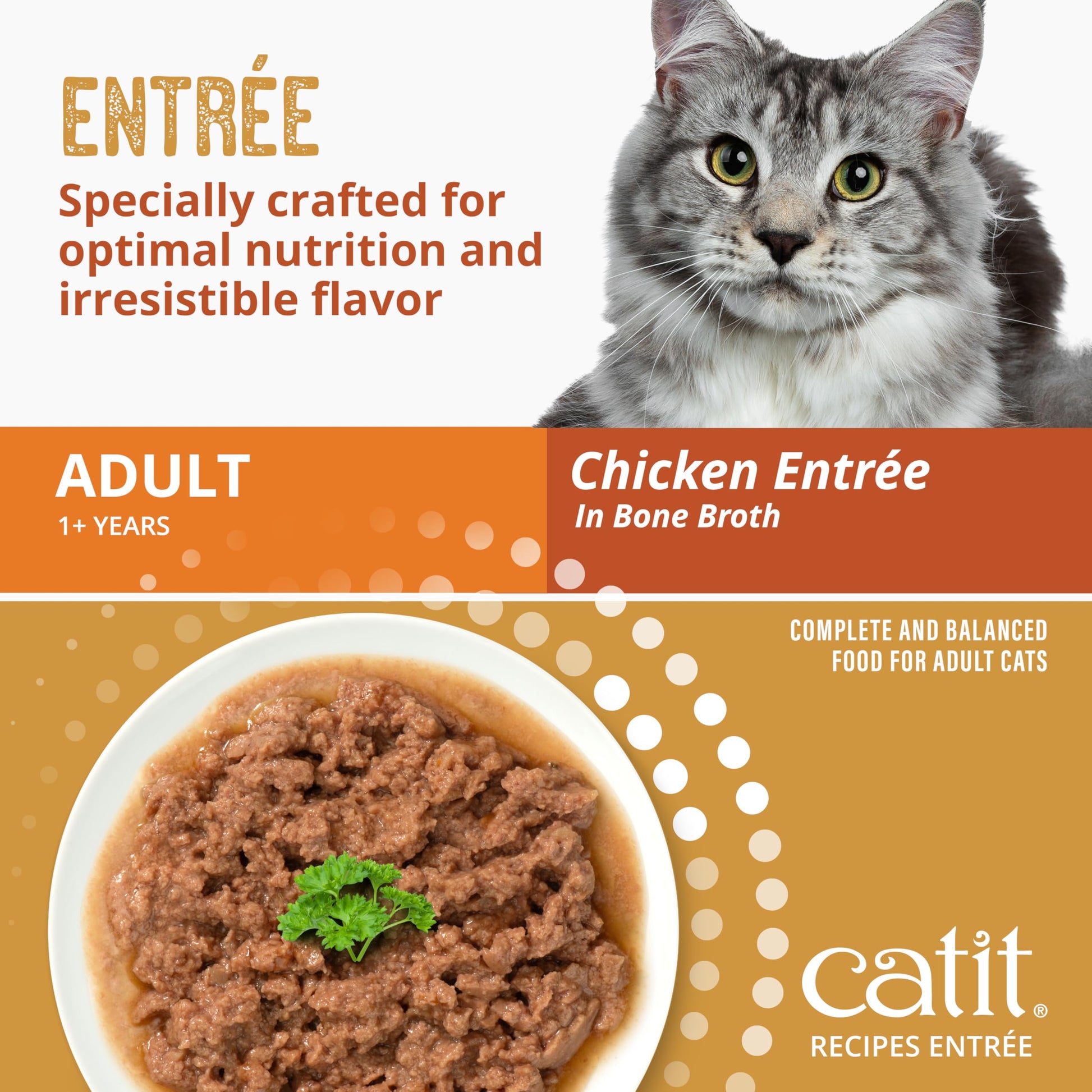 Catit Recipes Adult Chicken Entrée – High-Protein Wet Cat Food with Bone Broth Hydration, Prebiotics & Postbiotics for Gut Health, Omega-3 for Skin & Coat, and Taurine for Heart Support 3oz (12/cs) Catit uk supplements
