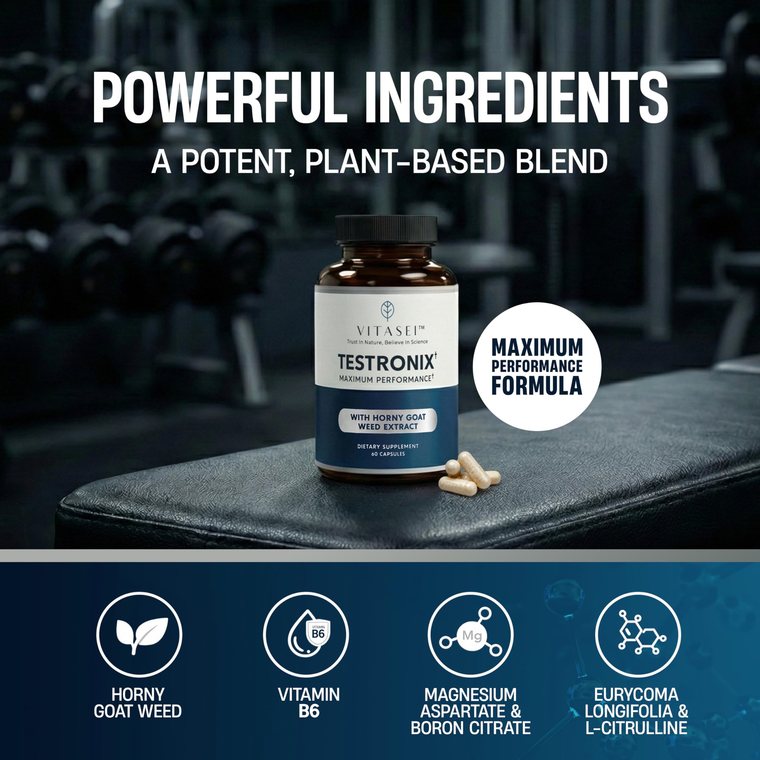 VITASEI Testronix Performance Supplement for Men - Energy and Muscle Supplements for Mens Health - 60 Capsules (Pack of 2) VITASEI uk supplements