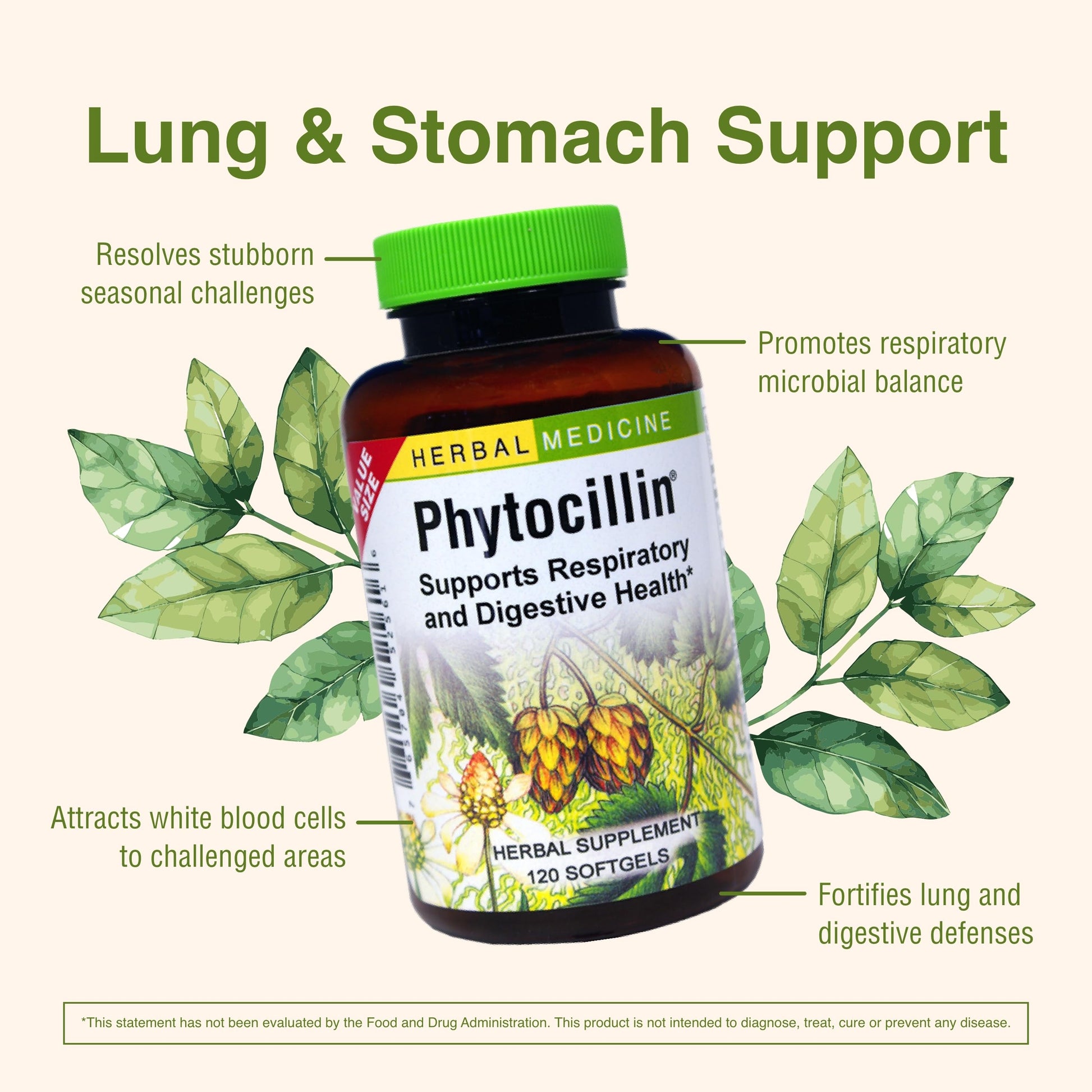 Herbs Etc. Phytocillin - Respiratory & Digestive Health Support Supplement - Herbal Formula to Support Digestion - Support Healthy Breathing - 120 Softgels (120 Servings) Herbs Etc. uk supplements