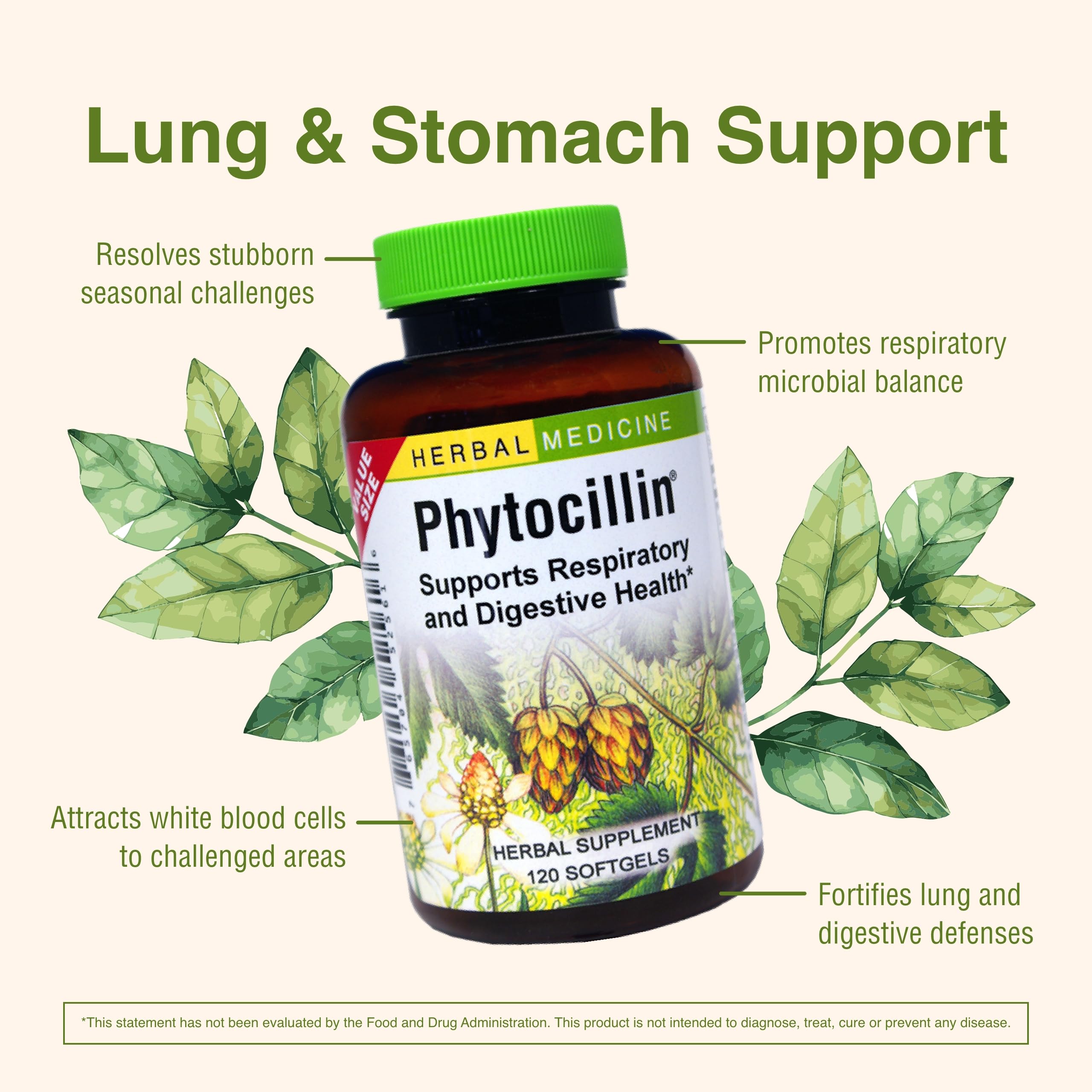 Herbs Etc. Phytocillin - Respiratory & Digestive Health Support Supplement - Herbal Formula to Support Digestion - Support Healthy Breathing - 120 Softgels (120 Servings) Herbs Etc. uk supplements