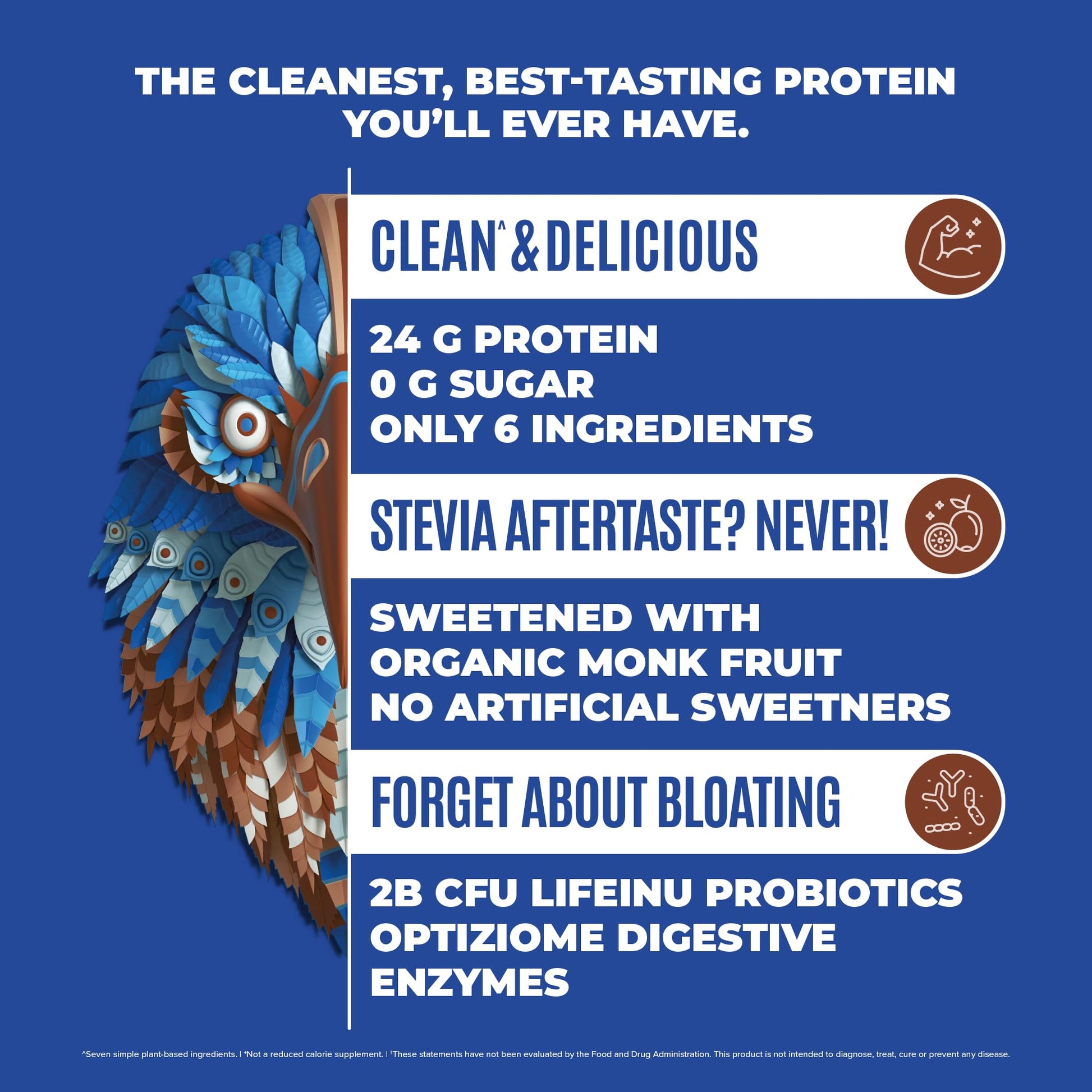 BIRDMAN Falcon Vegan Protein Powder Organic, Stevia & Sugar Free, Plant Based Protein BIRDMAN uk supplements
