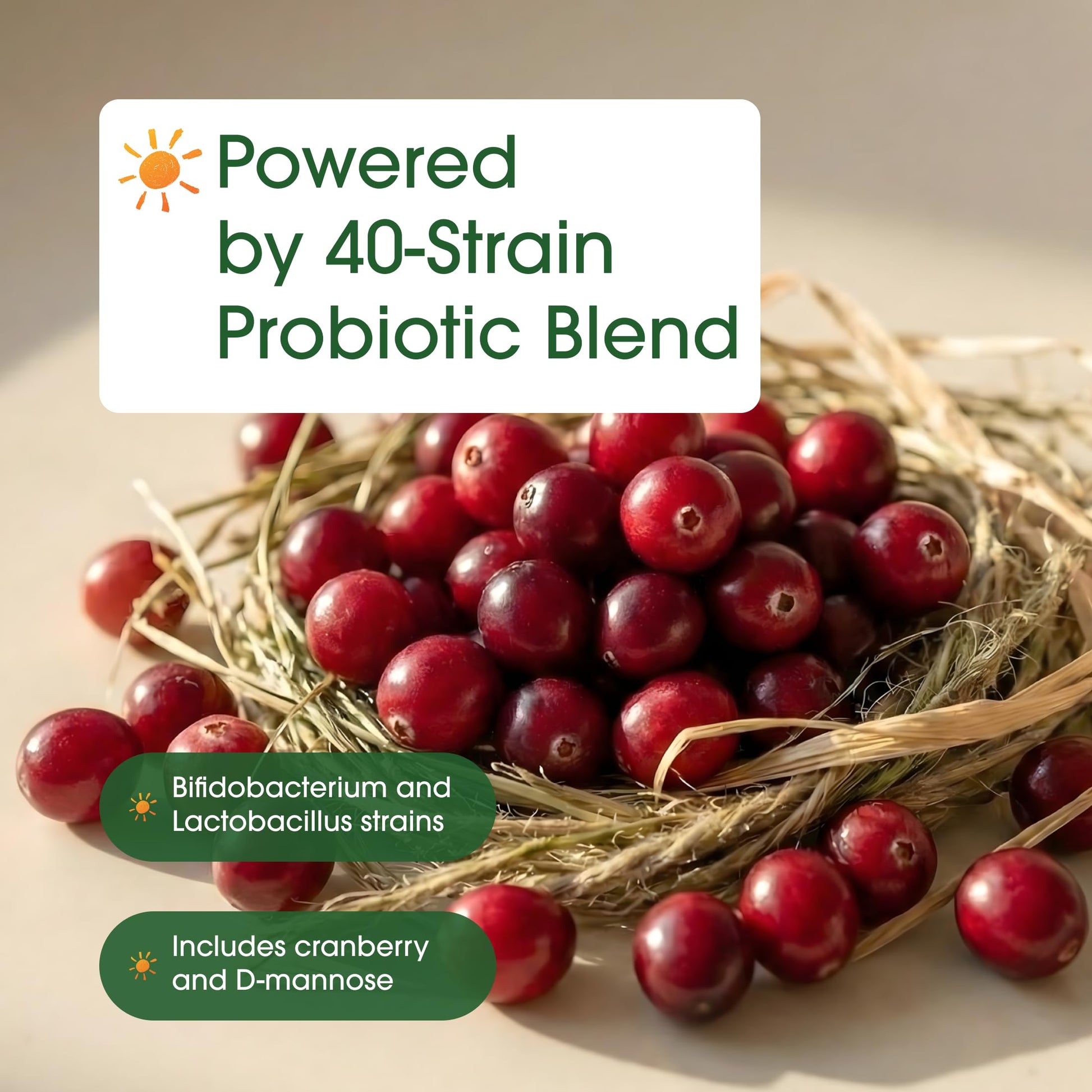 NatureBell Women's Probiotics+ - 240 Vegetarian Capsules - Prebiotic, Probiotic, Postbiotic & Digestive Enzymes - Made with Cranberry, D-Mannose, Inositol & More NatureBell uk supplements