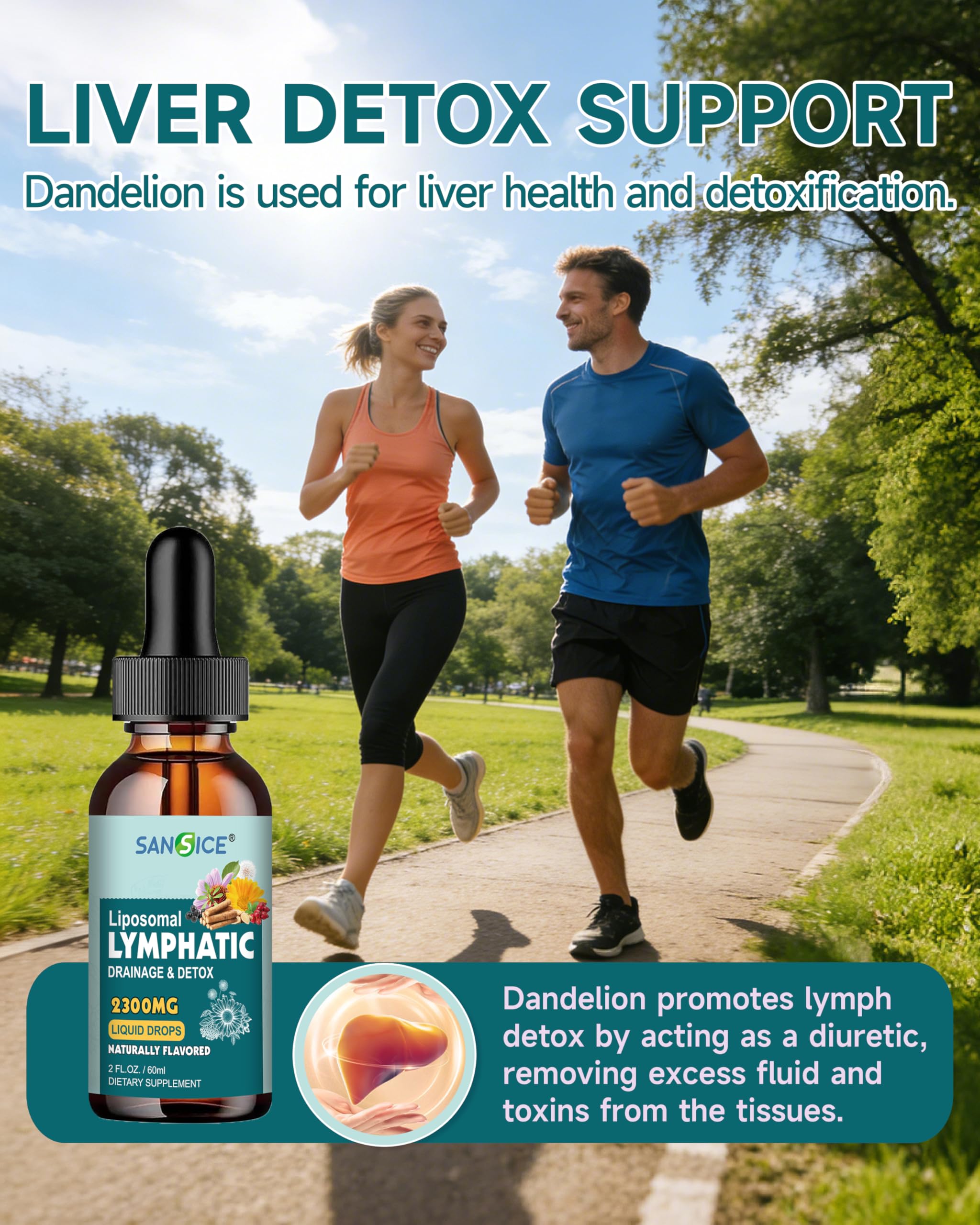 SANSICE Organic Moringa Supplement, Liquid Moringa Leaf Extract for Women & Men, Lymphatic Drainage Supplement with Echinacea for Lymph System Support SANSICE uk supplements