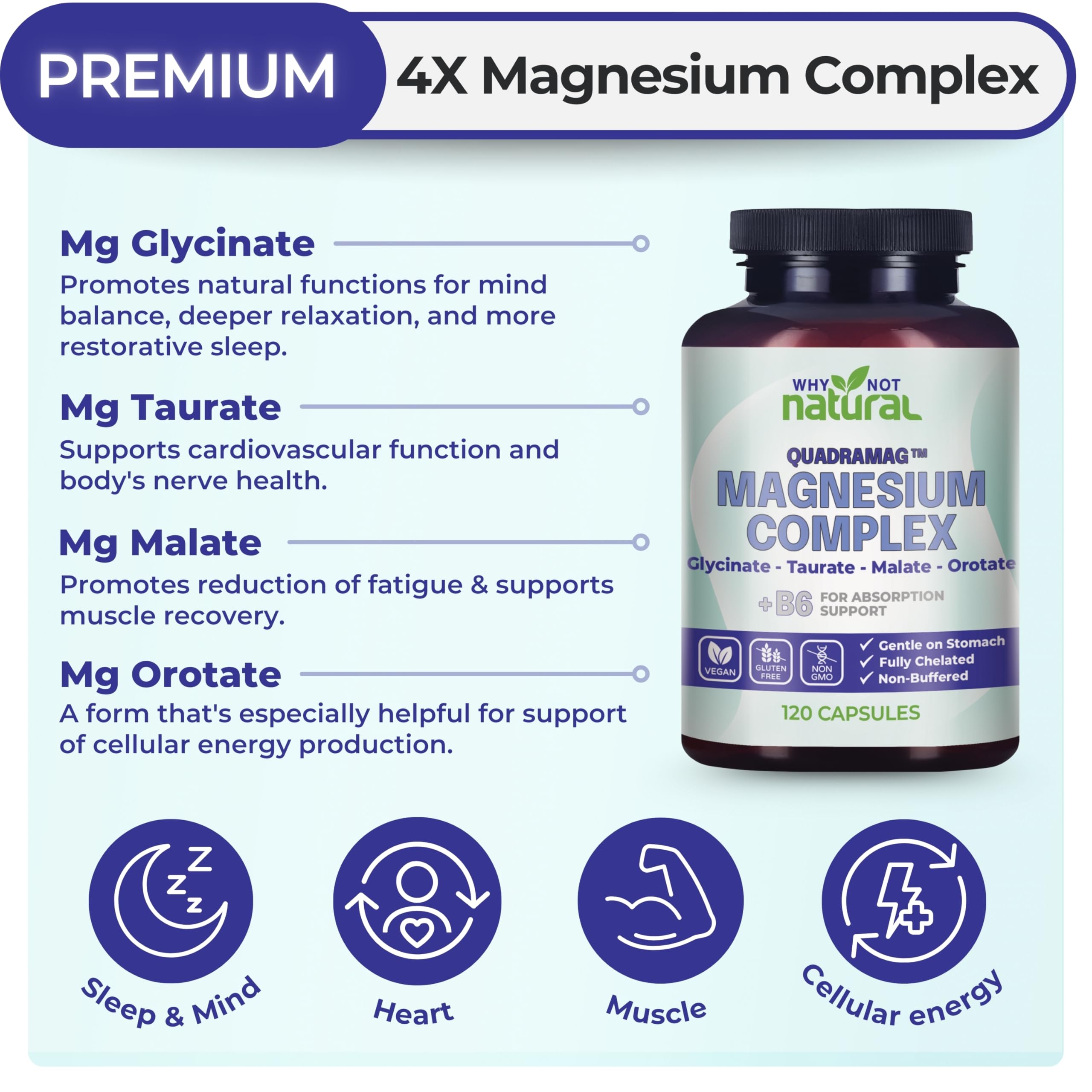 4-in-1 Magnesium Complex Supplement - Glycinate, Taurate, Malate, Orotate Blend - 300 mg per Serving, 120 Capsules Why Not Natural uk supplements