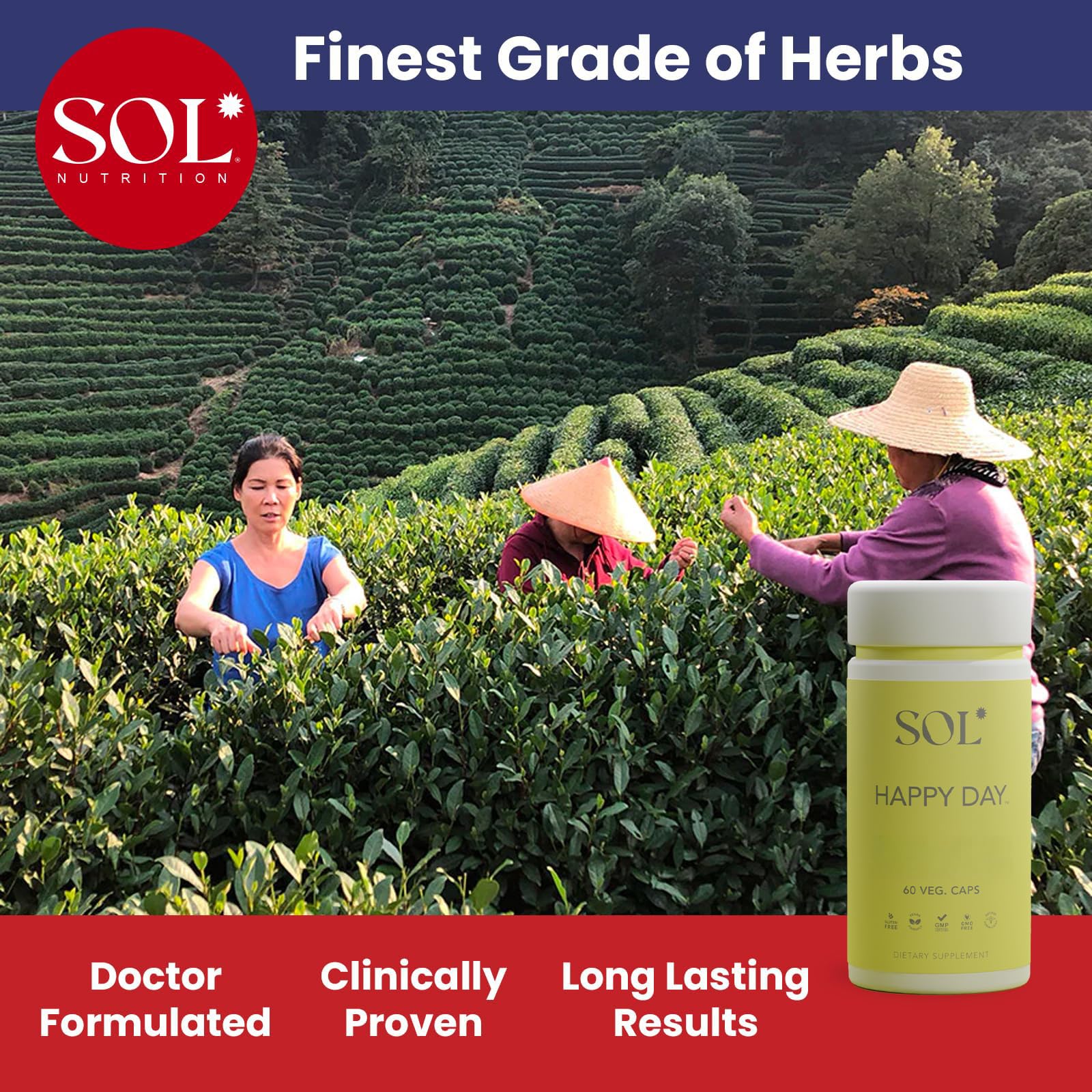 Sol Nutrition Happy Day Supplement: Combining The Natural Herbal Properties of Collective Happiness Bark, Astragalus, and Gingko Biloba to Support a Healthy Lifestyle - 60 Easy to Swallow Capsules Sol Nutrition uk supplements