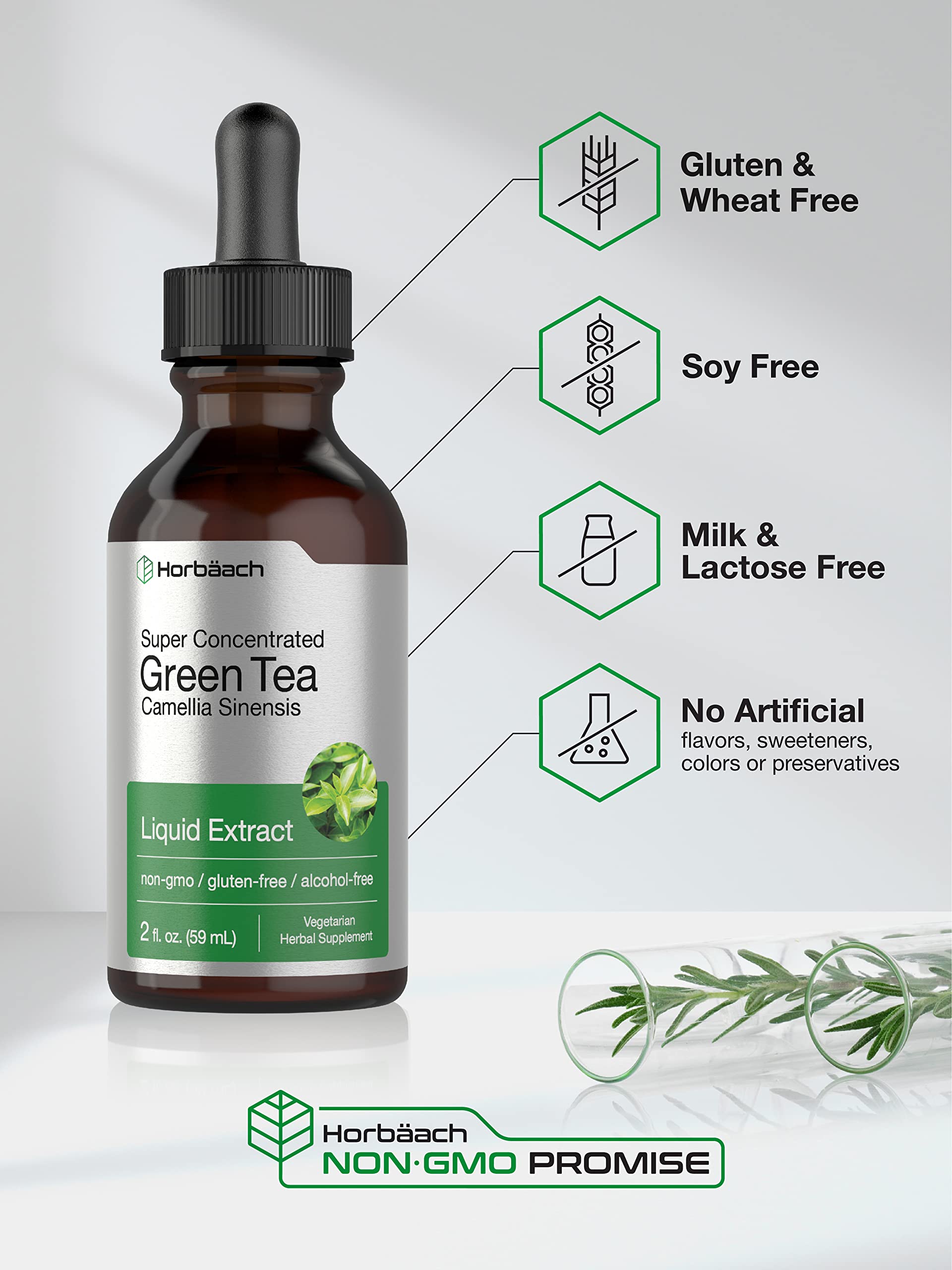 Green Tea Extract Liquid | 2 Fl Oz | Alcohol Free, Vegetarian Tincture | Super Concentrated Horbäach uk supplements