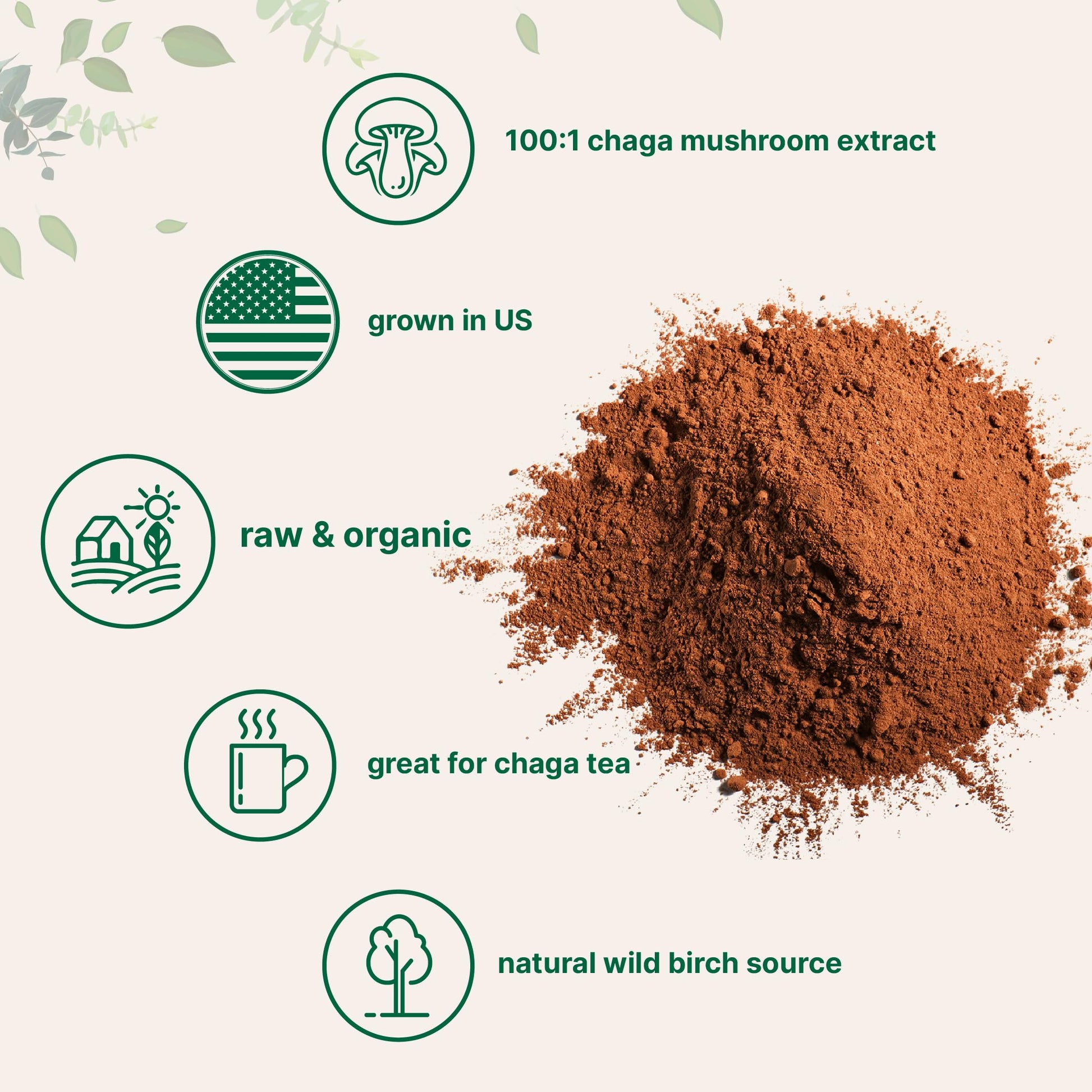 Micro Ingredients Organic Chaga Mushroom Extract 100:1 Powder, 10 Ounce Micro Ingredients uk supplements