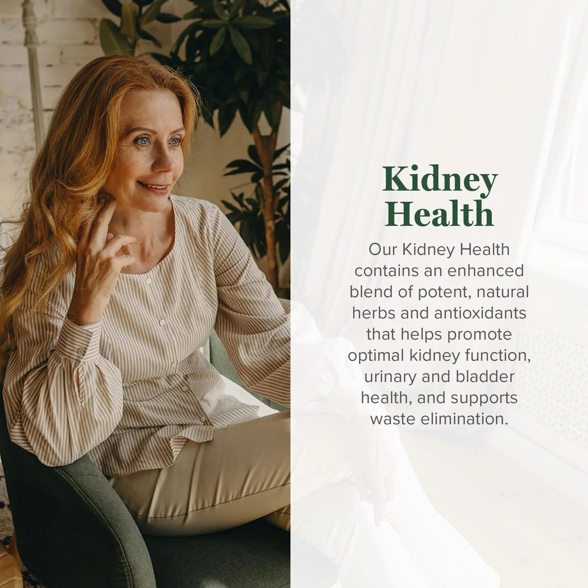 Global Healing USDA Organic Kidney Health with Cranberry & Hydrangea - Kidney Cleanse Liquid Supplement & Stones Dissolver for Urinary Health - Detox & Repair Formula for Bladder Control - 2 Fl Oz Global Healing Center uk supplements