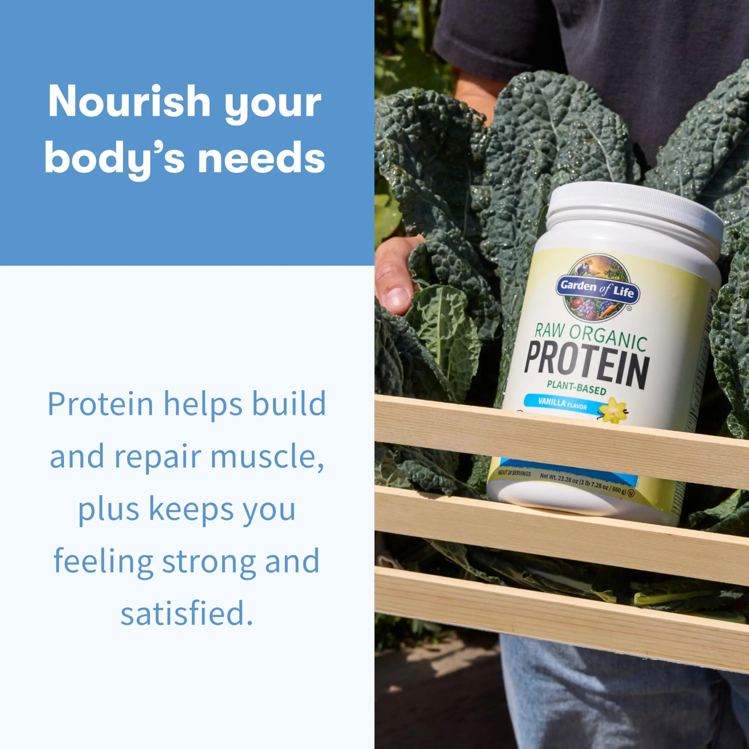 Garden Of Life Protein Powder, Vegan Protein Powder, Bcaa, Probiotics & Digestive Enzymes, Gluten & Lactose Free, Vanilla, 23.28 Ounce Garden of Life uk supplements