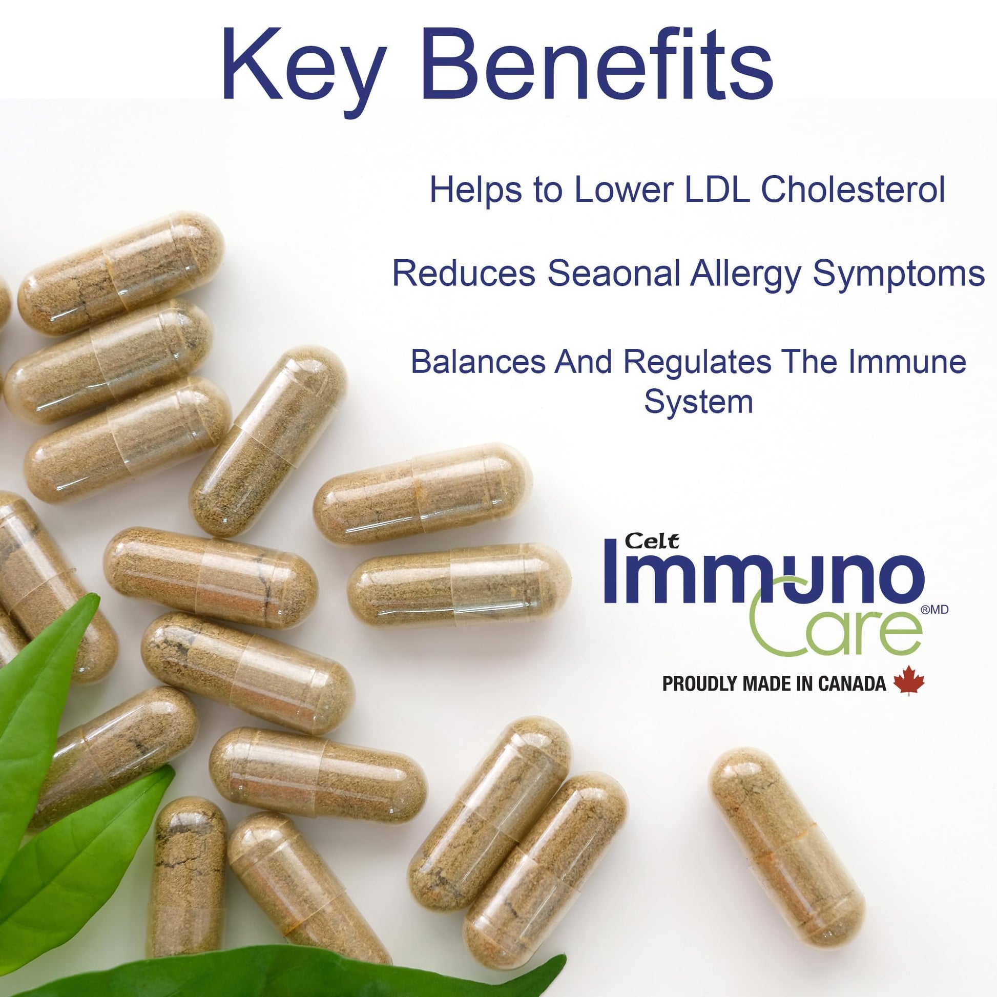 Celt Immunocare 60 v-caps - Potent Seasonal Allergy Blend - Adult Immunity Support - Cholesterol Modulator - Plant Sterols Ultra Strength - 7 Key Immunity Enhancing Ingredients Celt Immuno-Care uk supplements