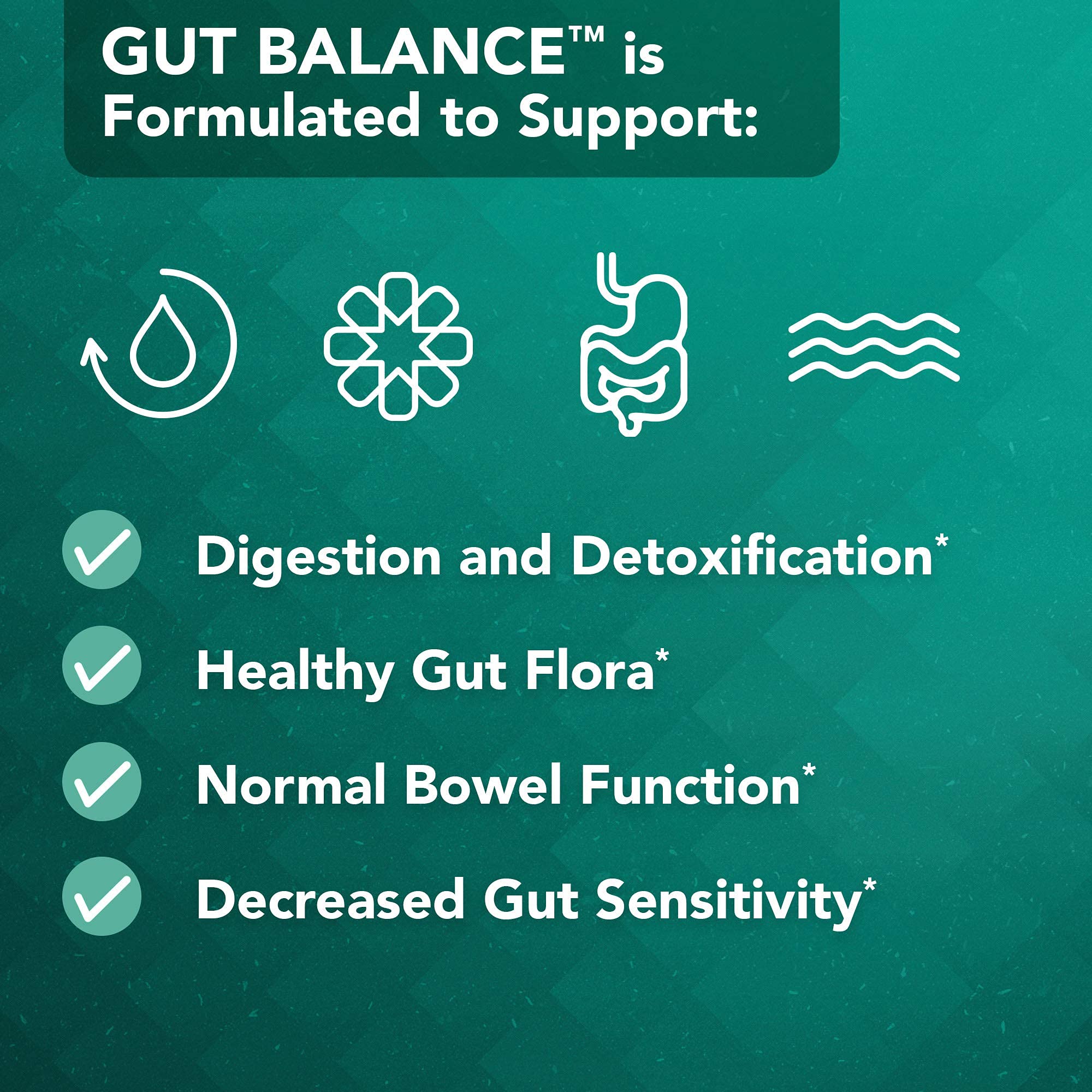 Vital Plan Gut Balance Supplement by Dr. Bill Rawls - Advanced Digestive Health Support Formula w/Clinical-Grade Slippery Elm Bark, Berberine & Dandelion Extract for Women & Men (180 Capsules) Vital Plan uk supplements