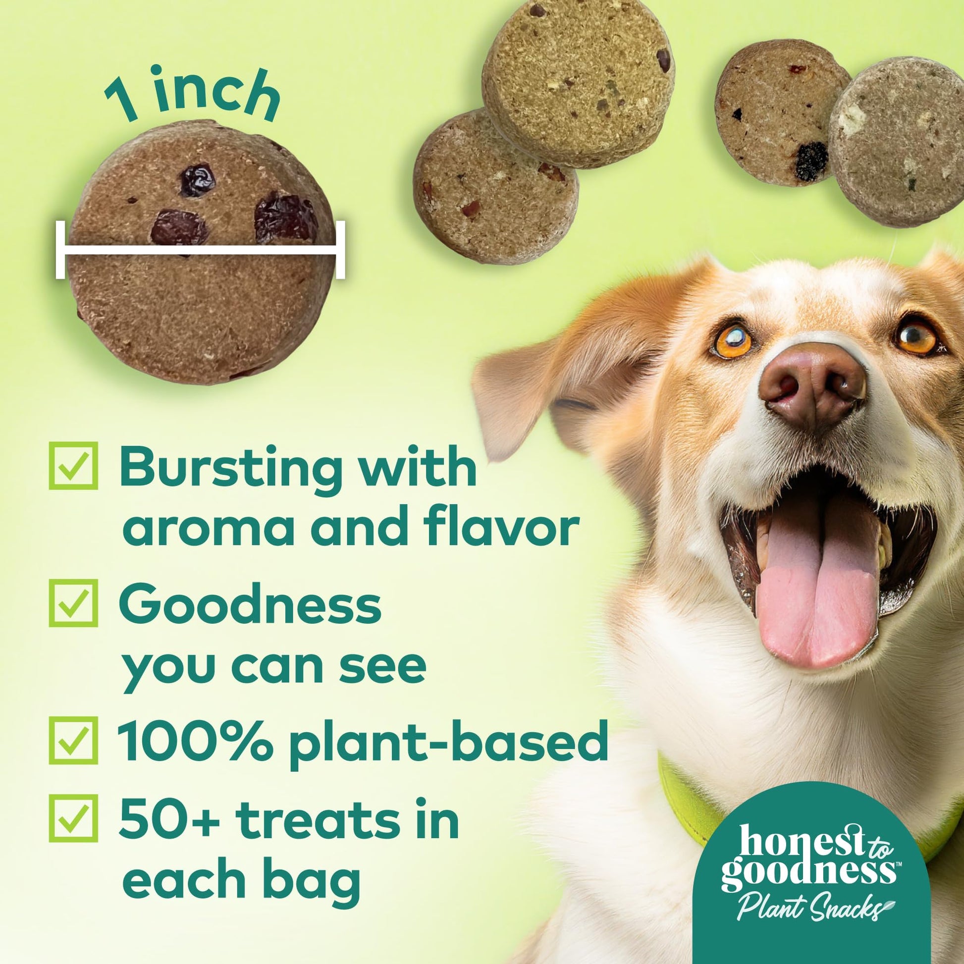 Honest to Goodness Plant Snacks Dog Treats, Enriched with Omega 3s & Postbiotics, 8oz Variety Pack, 6 Bags Honest to Goodness uk supplements