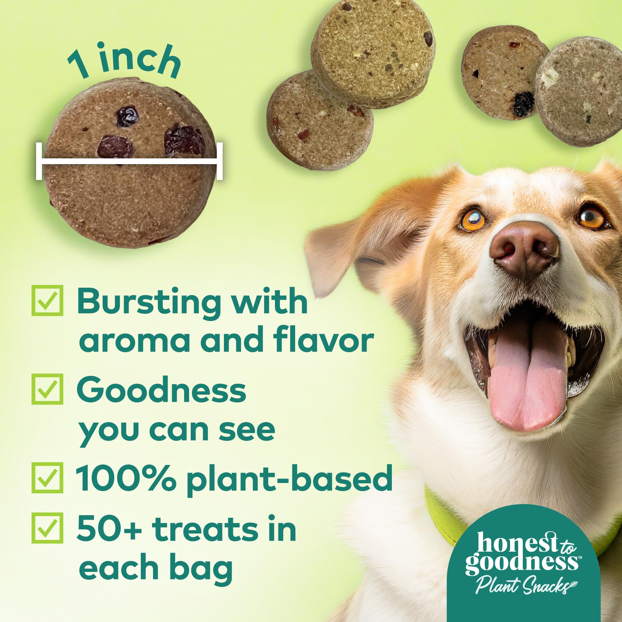 Honest to Goodness Plant Snacks Dog Treats, Enriched with Omega 3s & Postbiotics, 8oz Variety Pack, 6 Bags Honest to Goodness uk supplements