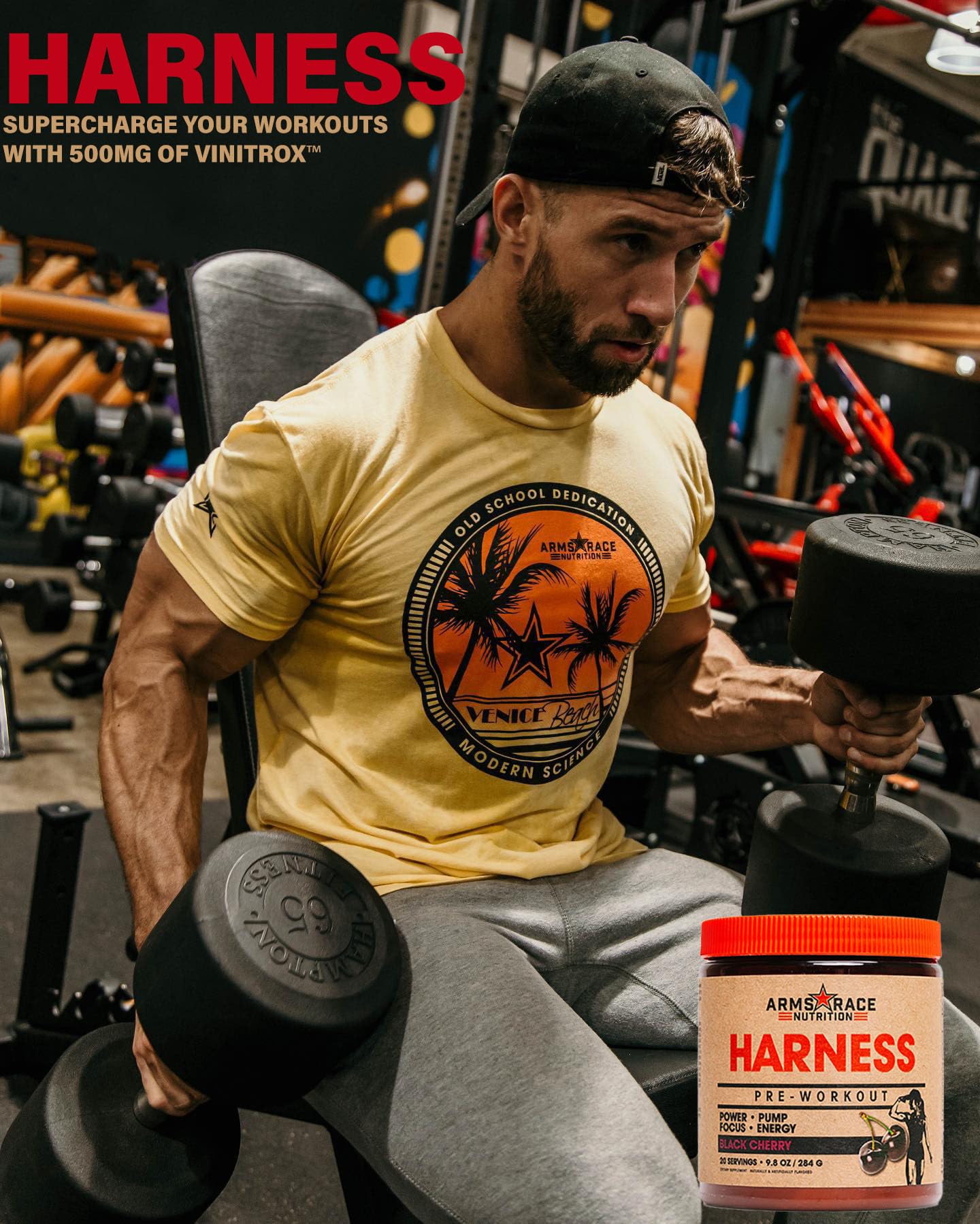 Arms Race Nutrition Harness Pre-Workout, 20 Servings (Big Sky) Arms Race Nutrition uk supplements