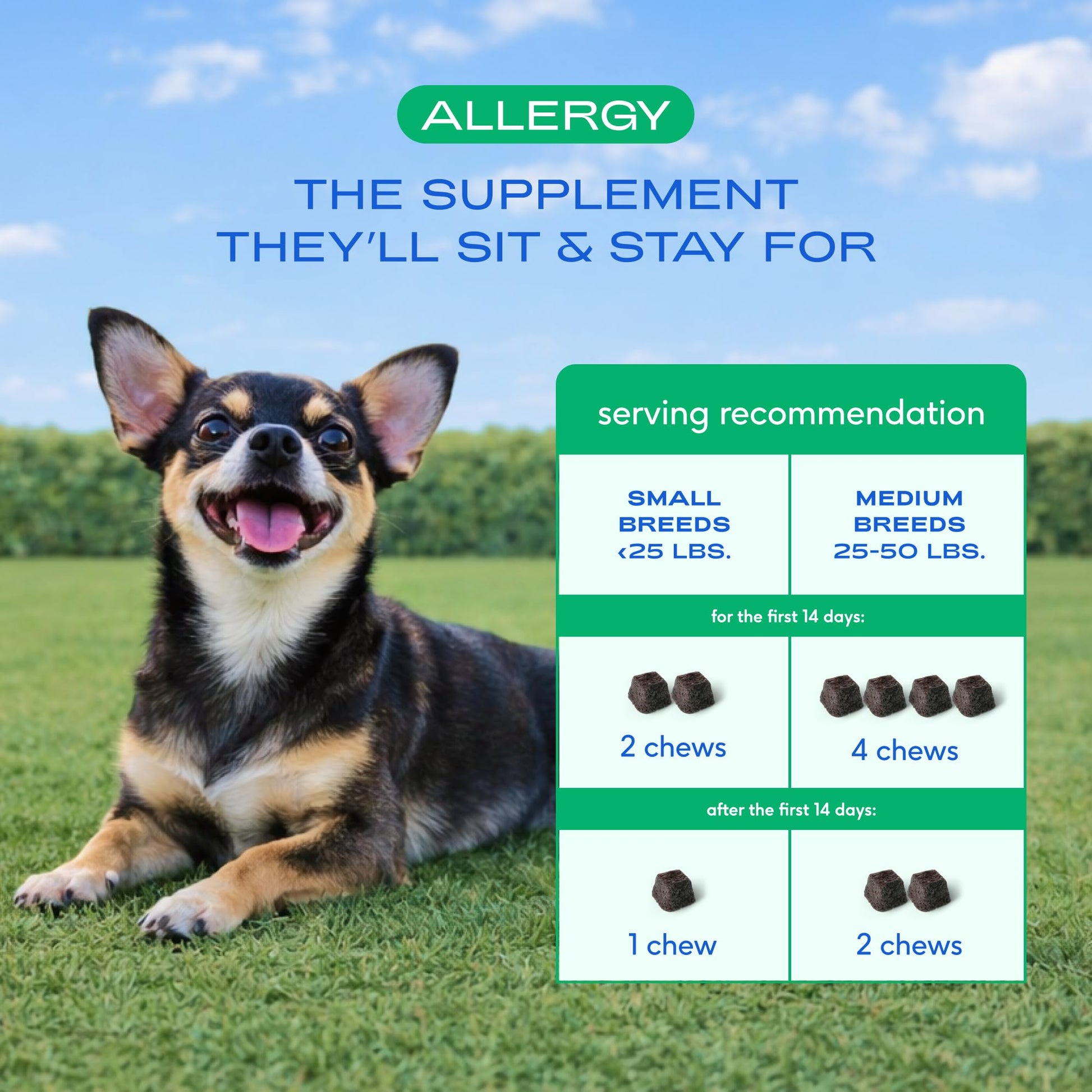 Native Pet Dog Allergy Chews - Dog Allergy Relief for Medium Breeds - Supports Seasonal Itch Relief, Healthy Immune Function & Reduces Sneezing - Colostrum, Spirulina, & Probiotics - 30 Days Supply Native Pet uk supplements