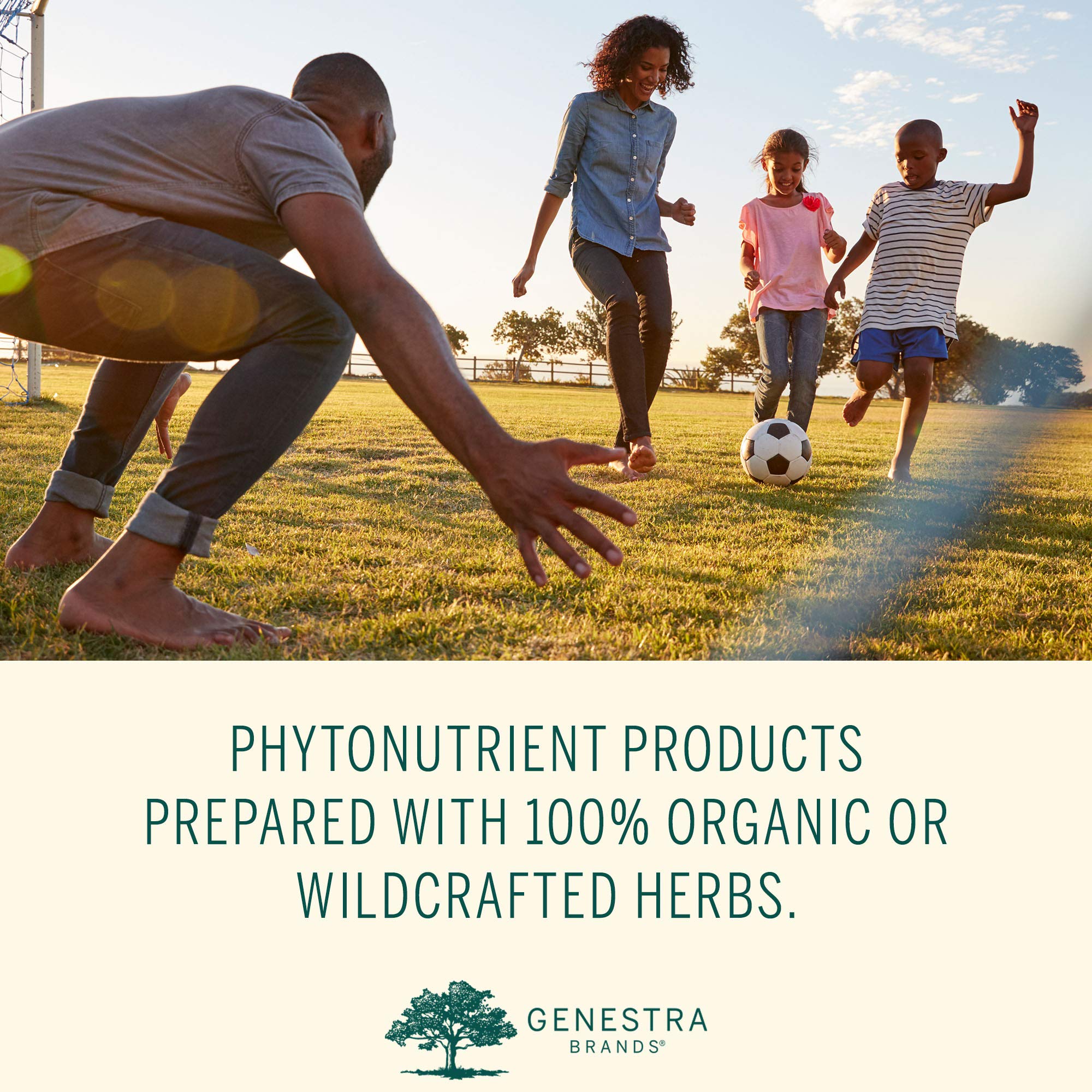 Genestra Brands Phyto Greens Capsules | Vitamins, Dietary Fiber and Enzymes for Optimum Nutrition | 180 Capsules Genestra Brands uk supplements