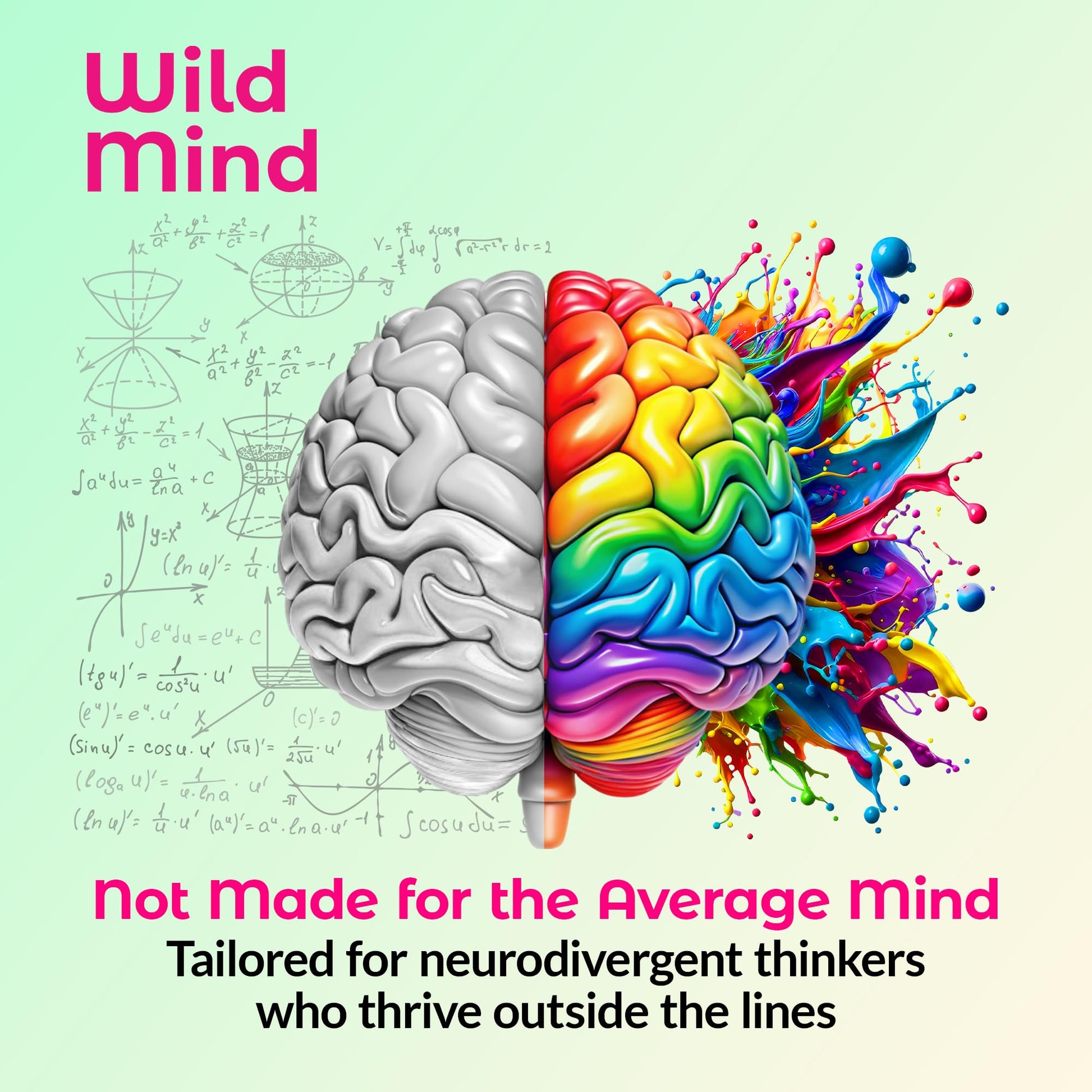 Wild Mind Mental Clarity Balanced Focus & Mood Support Supplement for Mental Wellness– 4-Ingredient Nootropic Brain Support for Calm & Energy – Vegan, 90 Capsules, 30-Day Supply Wild Mind uk supplements