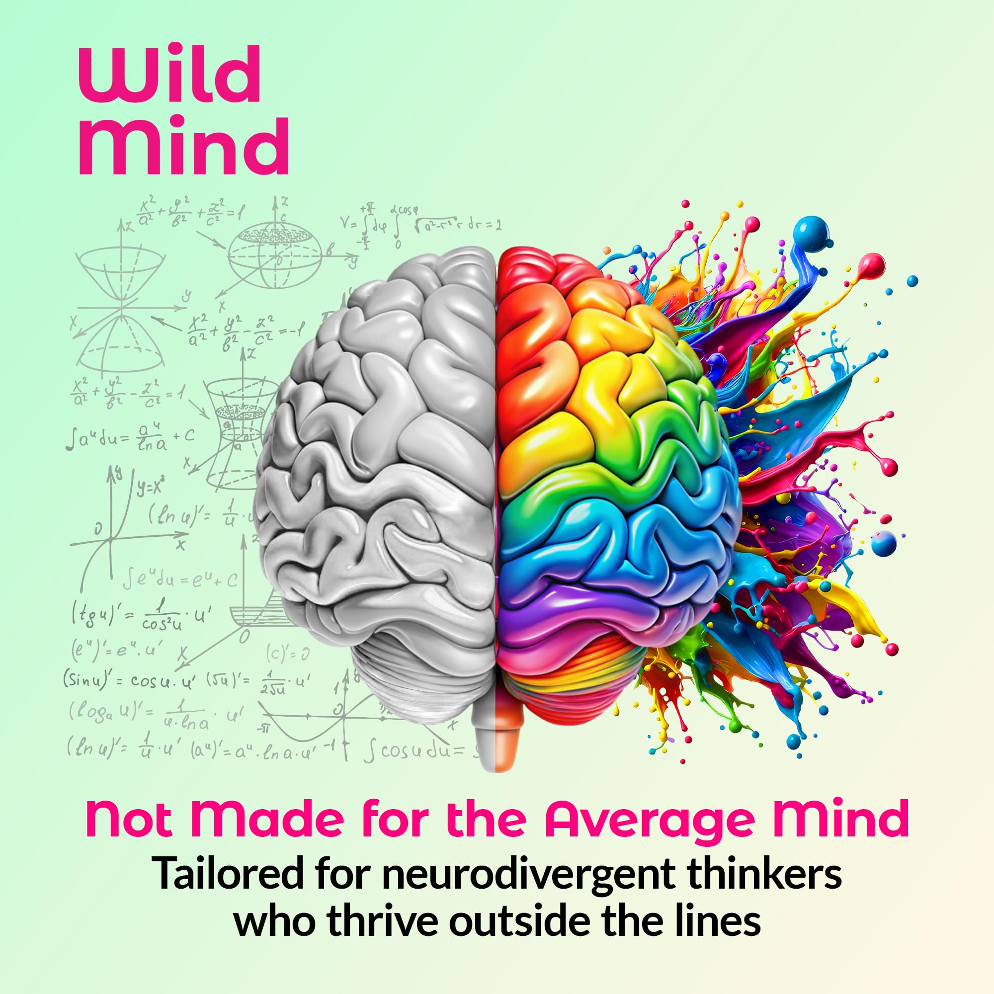 Wild Mind Mental Clarity Balanced Focus & Mood Support Supplement for Mental Wellness– 4-Ingredient Nootropic Brain Support for Calm & Energy – Vegan, 90 Capsules, 30-Day Supply Wild Mind uk supplements