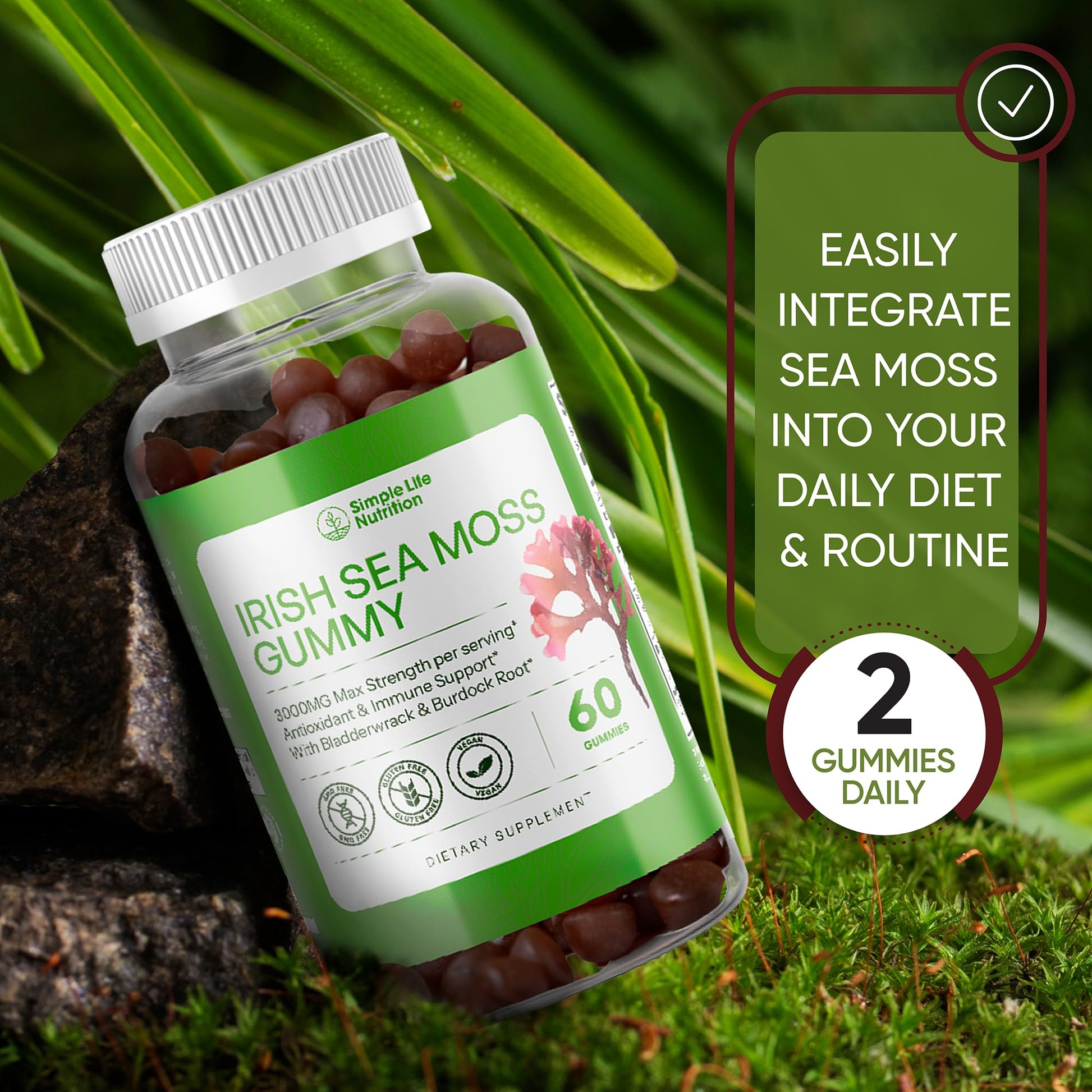Simple Life Nutrition Organic Irish Sea Moss Gummies - Burdock Root and Bladderwrack Natural Blend - Immune System Gut Cleanse & Thyroid Supplement - Skin and Nail Health - 60CT Simple Life Nutrition uk supplements