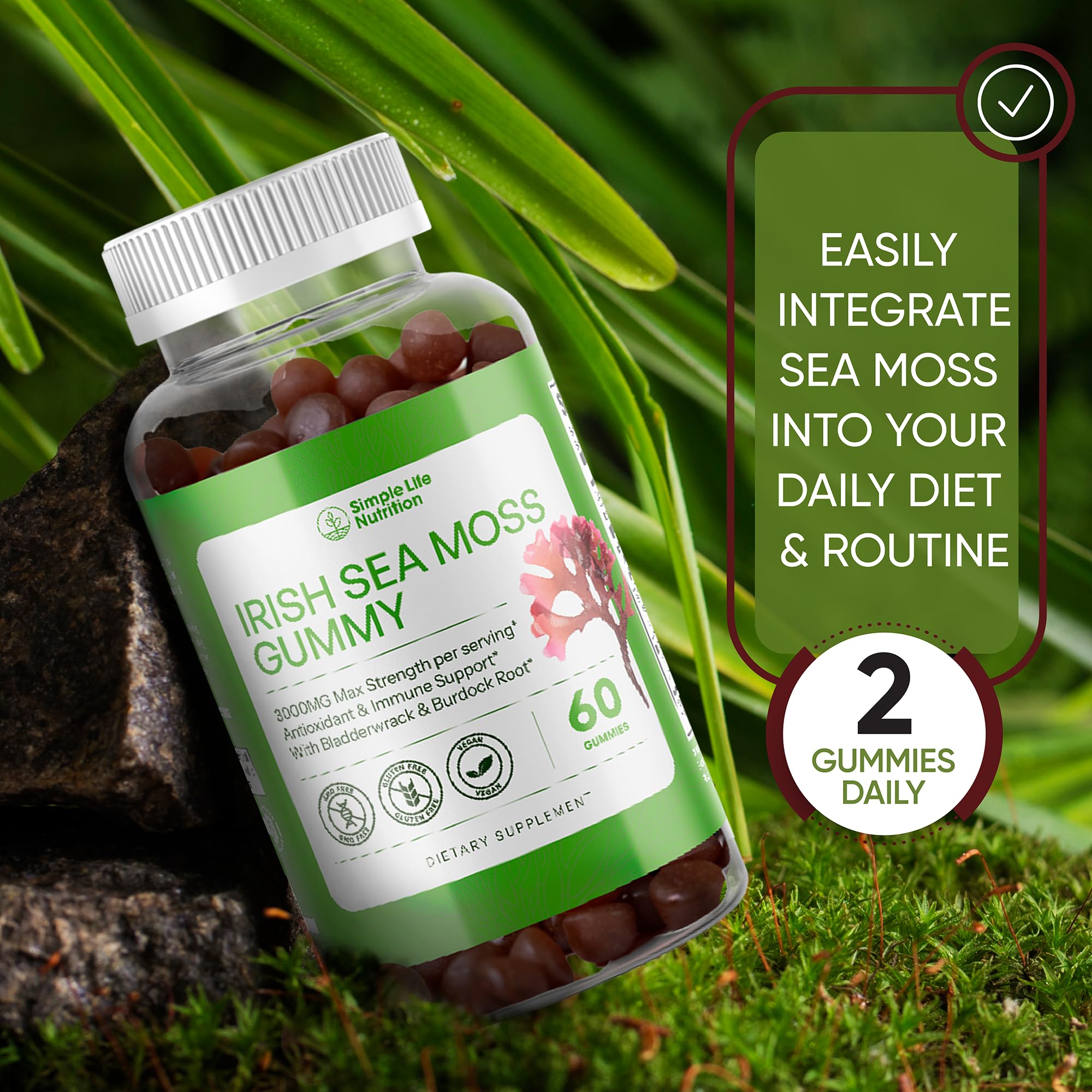 Simple Life Nutrition Organic Irish Sea Moss Gummies - Burdock Root and Bladderwrack Natural Blend - Immune System Gut Cleanse & Thyroid Supplement - Skin and Nail Health - 60CT Simple Life Nutrition uk supplements