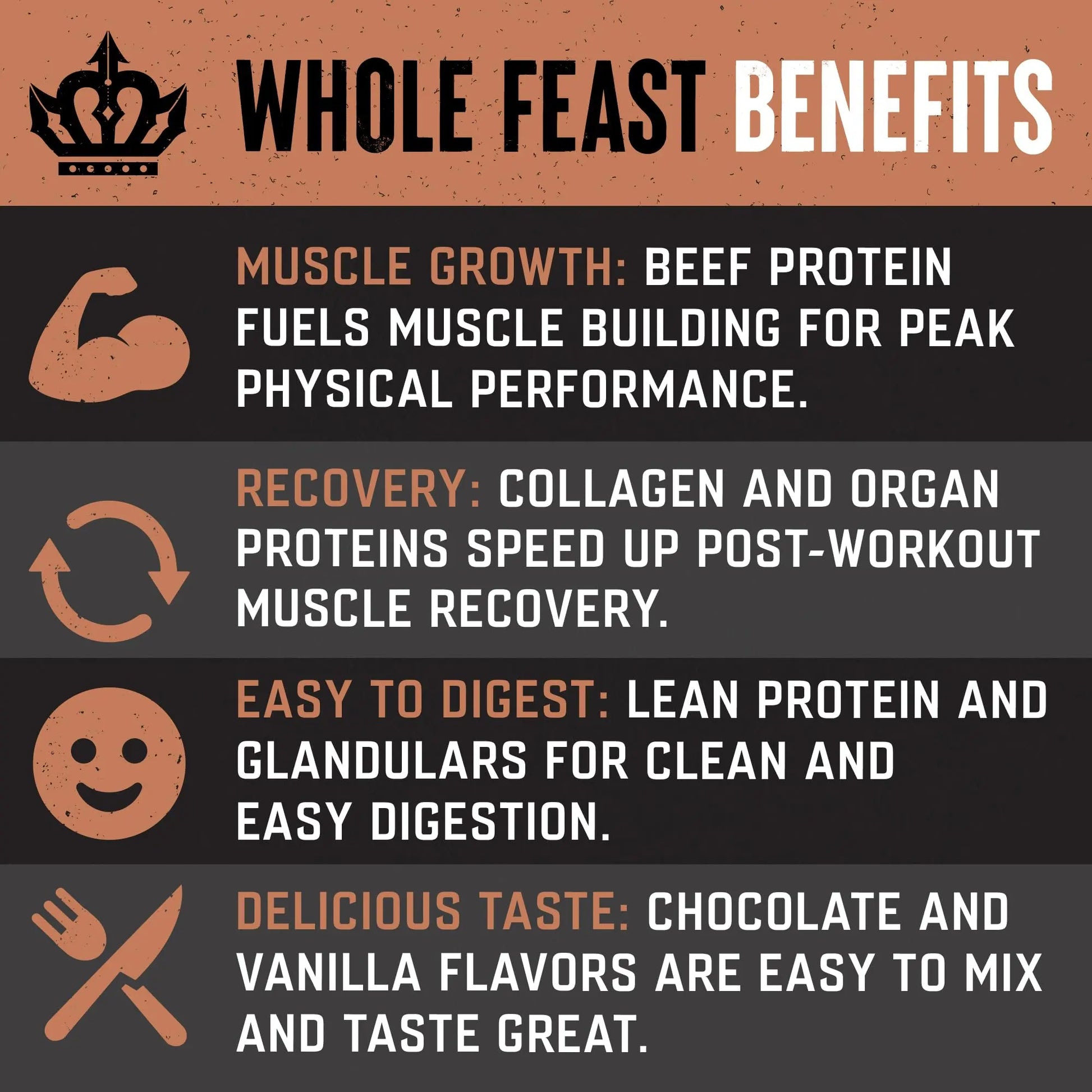 The Fittest Whole Feast Beef Protein Powder - Milk Chocolate - Grass Fed Nose to Tail Carnivore Blend Including Liver, Colostrum and Whole Bone - BCAAs - 14g Collagen, 21g Total Protein The Fittest Ever uk supplements