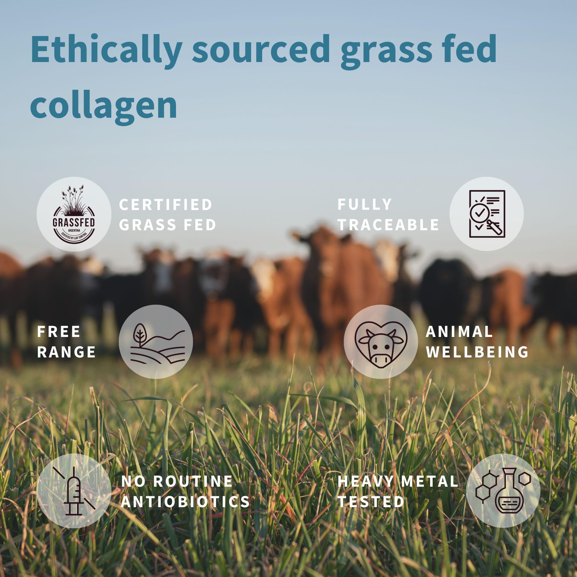 Advanced Hydrolysed Collagen Peptides, 100% Grass Fed & Ethically Sourced Igennus Healthcare Nutrition uk supplements
