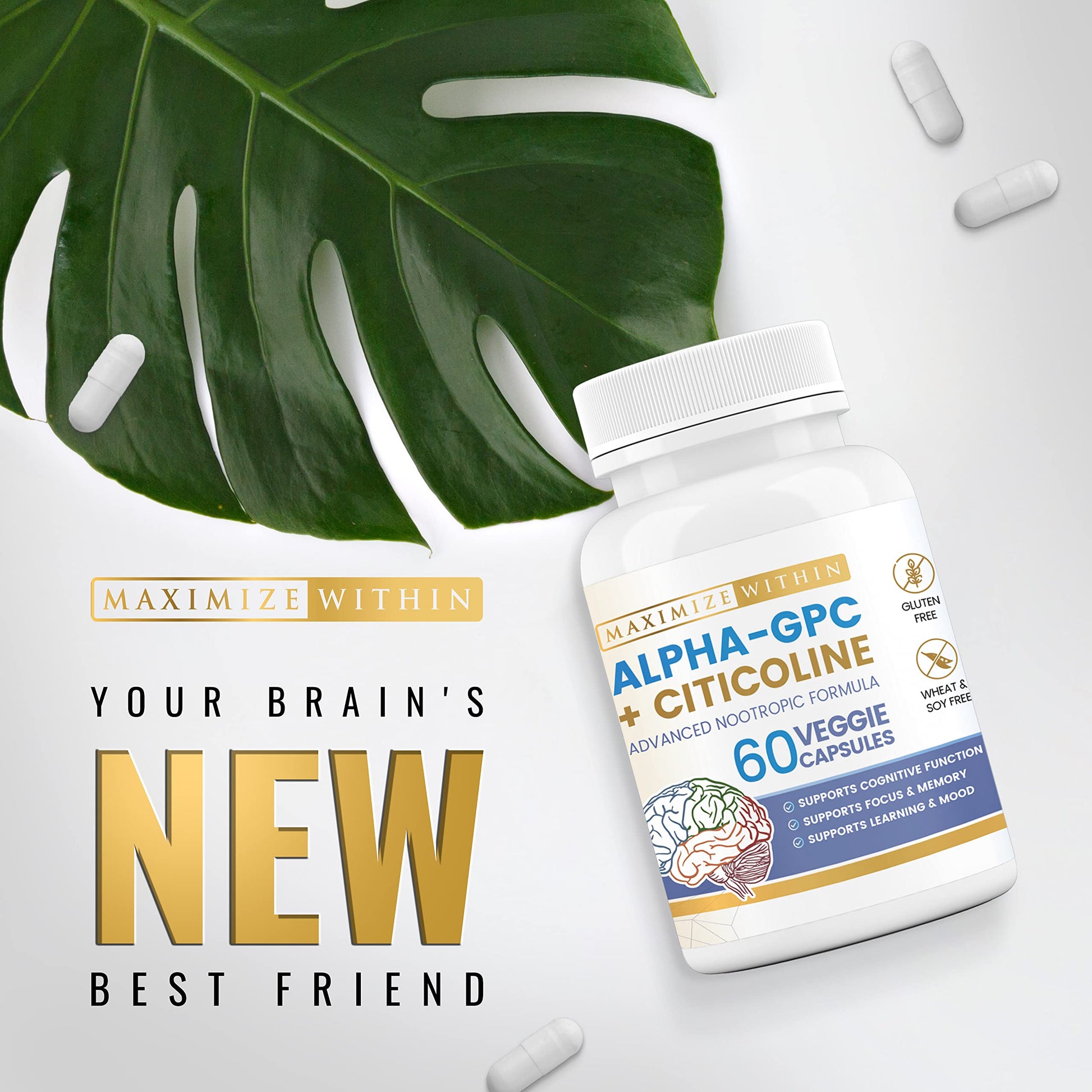 Maximize Within Alpha GPC + Citicoline 60 Ct, 1600mg Concentrated Formula- 99%+Highly Purified & Bioavailable Nootropic-Cognitive Enhancer, Supports Memory, Brain Function, Boosts Focus, Mood & Energy Maximize Within uk supplements