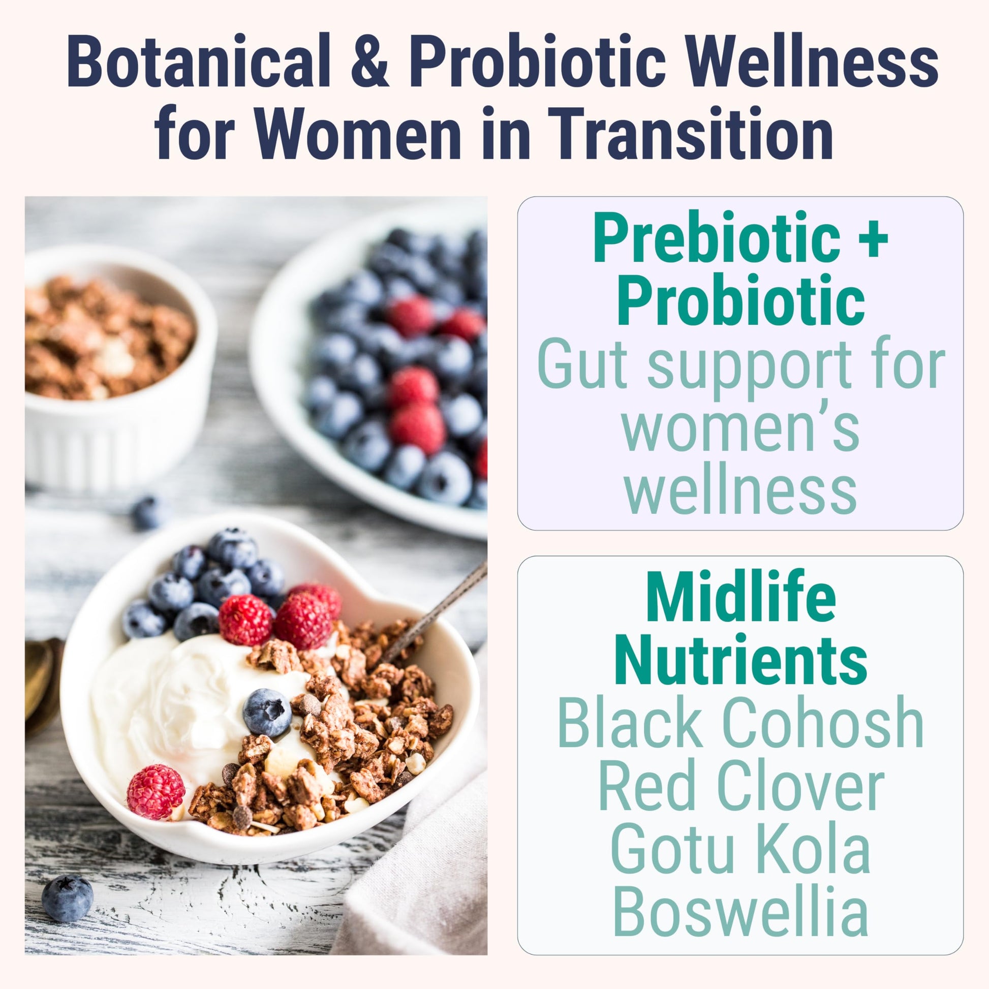 Boswellia Serrata Black Cohosh Gotu Kola Red Clover Extract Complex Gummies w. Probiotic Fiber (Chicory Root Inulin) MSM Methylsulfonylmethane, Supplement Alt for Organic Powder Capsules Tincture SHIZAM uk supplements