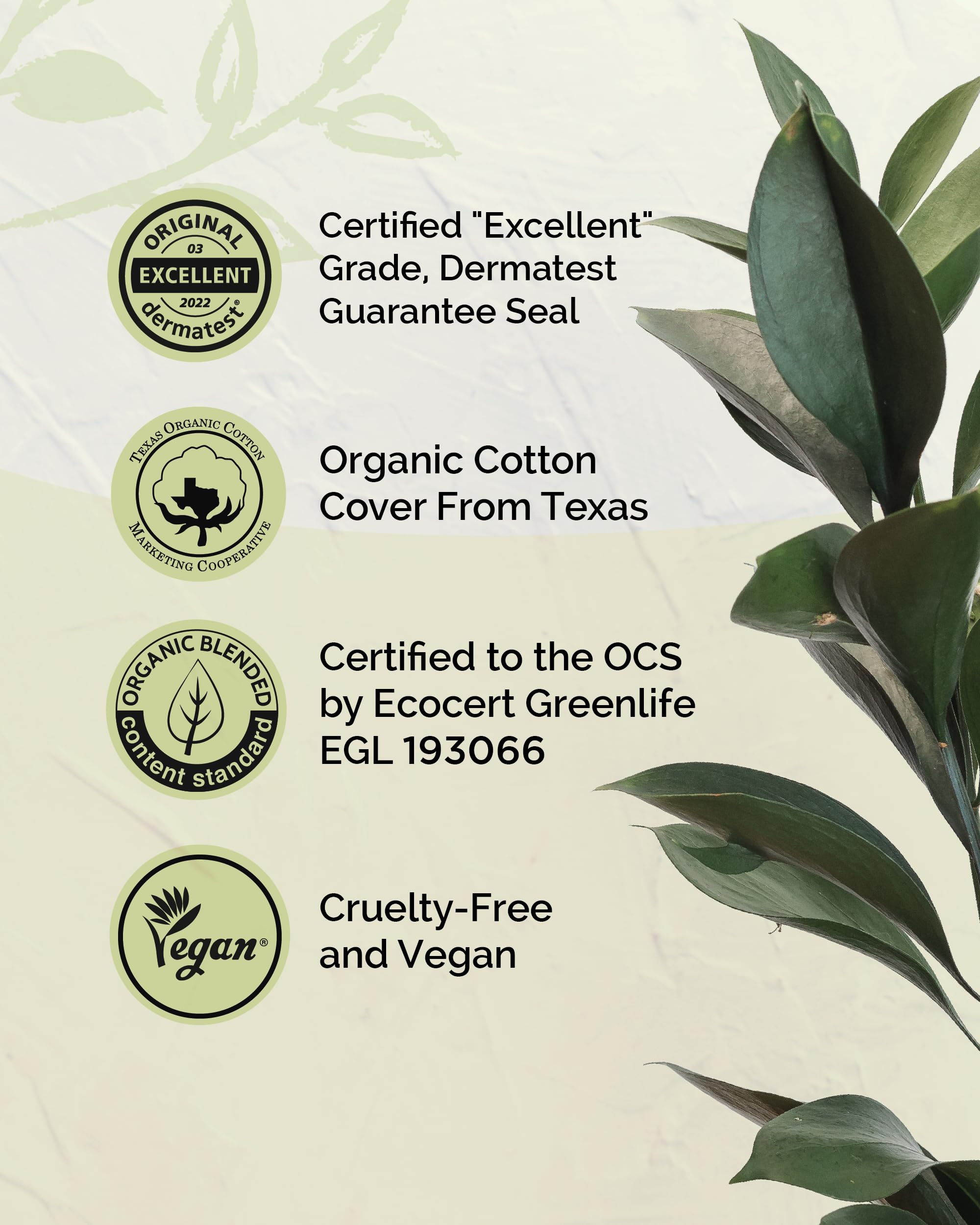 LABON Premium Vegan Organic Sanitary Pads (Regular, 25cm, 32 Counts) - 100% Organic Cotton Cover OCBON uk supplements