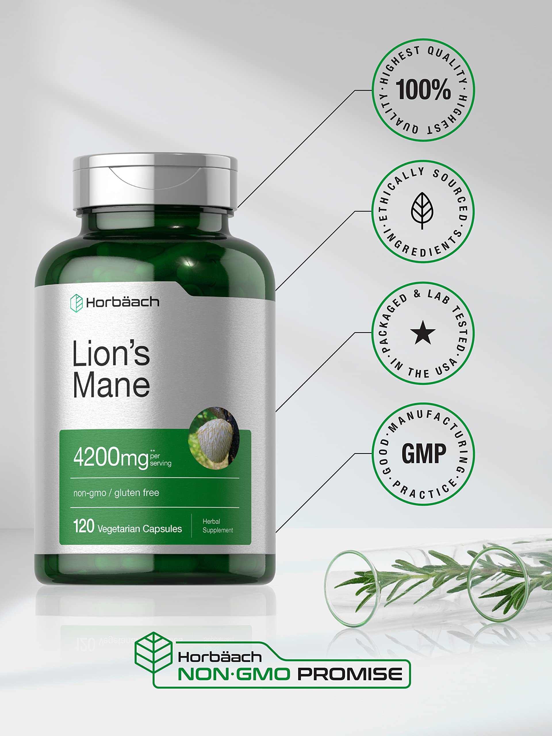 Horbäach Lions Mane Mushroom Extract | 4200mg | 120 Capsules | Vegetarian Horbäach uk supplements
