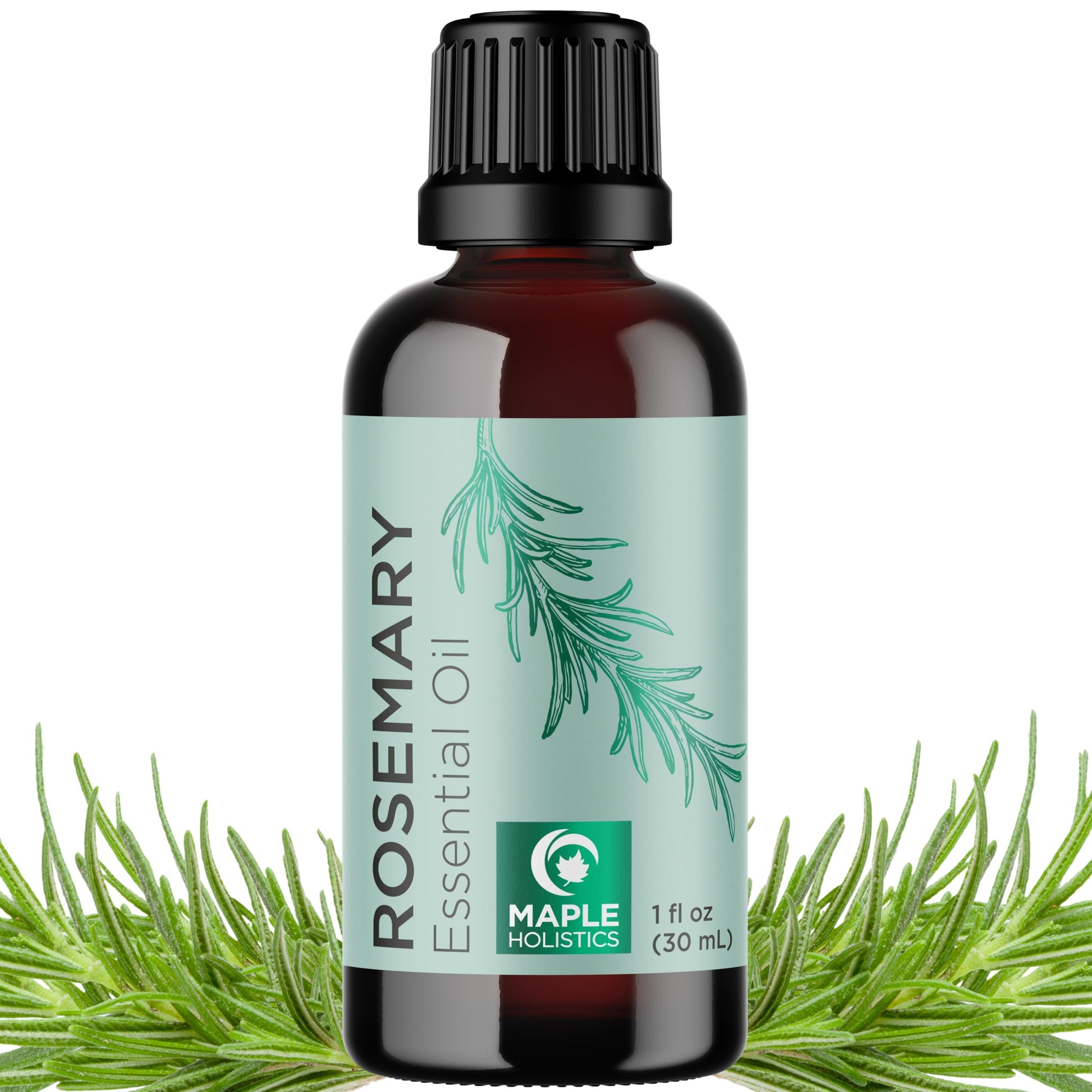 Pure Rosemary Essential Oil for Aromatherapy - Pure Rosemary Oil for Hair Skin and Nails Maple Holistics uk supplements