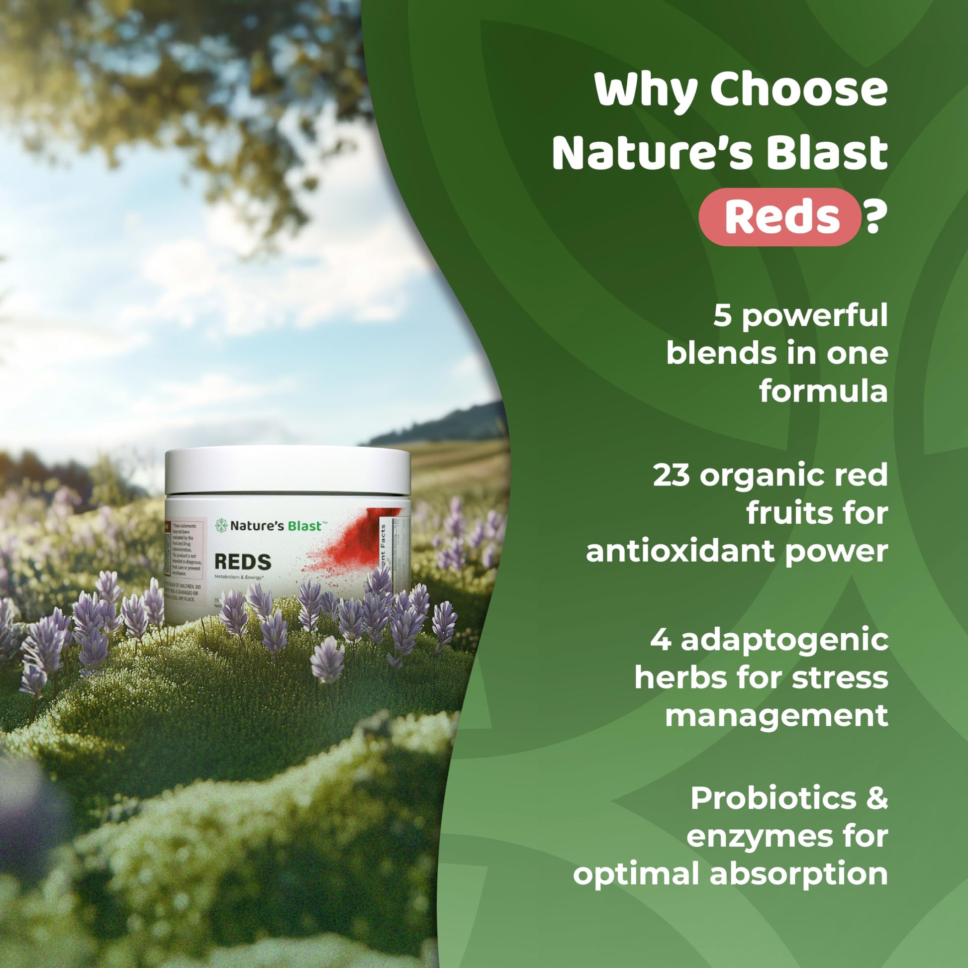 NATURES BLAST Reds - Metabolism and Energy Superfood Powder with 23 Red Fruits, 4 Adaptogens, Probiotics & Enzymes - Vegan Antioxidant Blend, 1 Bottle NATURES BLAST uk supplements