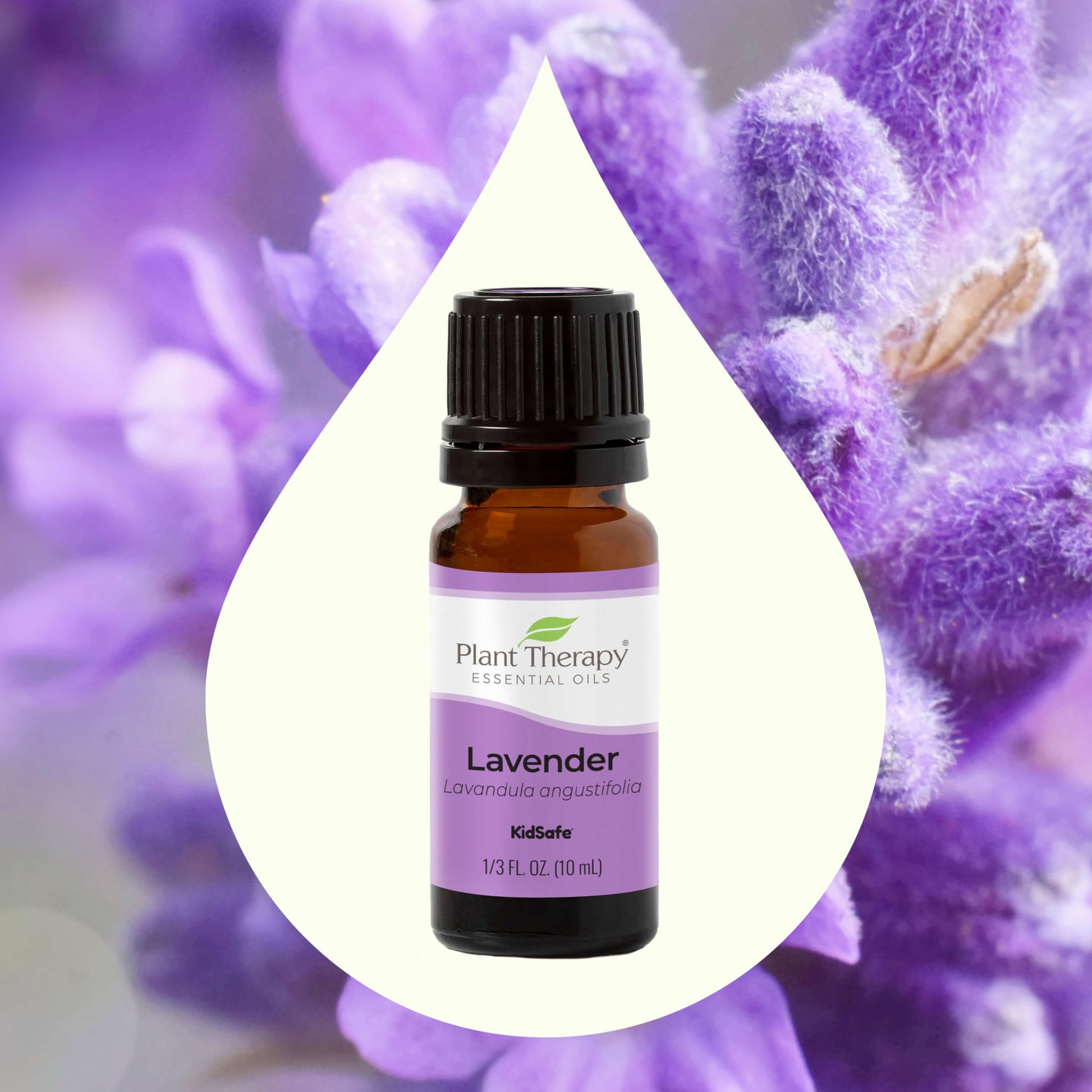 Plant Therapy Lavender Essential Oil 100% Pure, Undiluted, Therapeutic Grade, Aromatherapy Diffuser Plant Therapy uk supplements