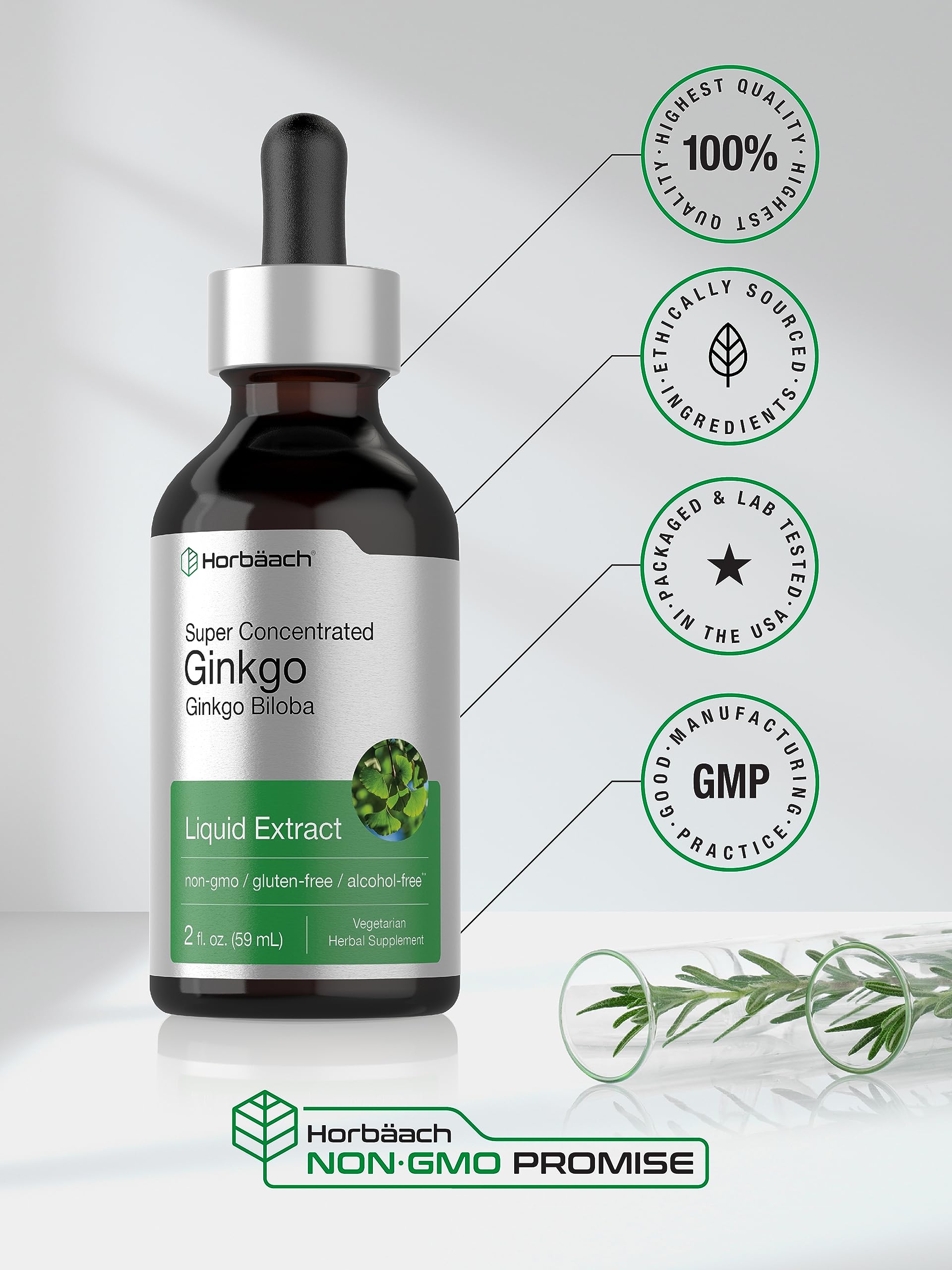 Ginkgo Biloba Extract Liquid 2 fl oz | Alcohol-Free Herb Supplement | Vegetarian Horbäach uk supplements